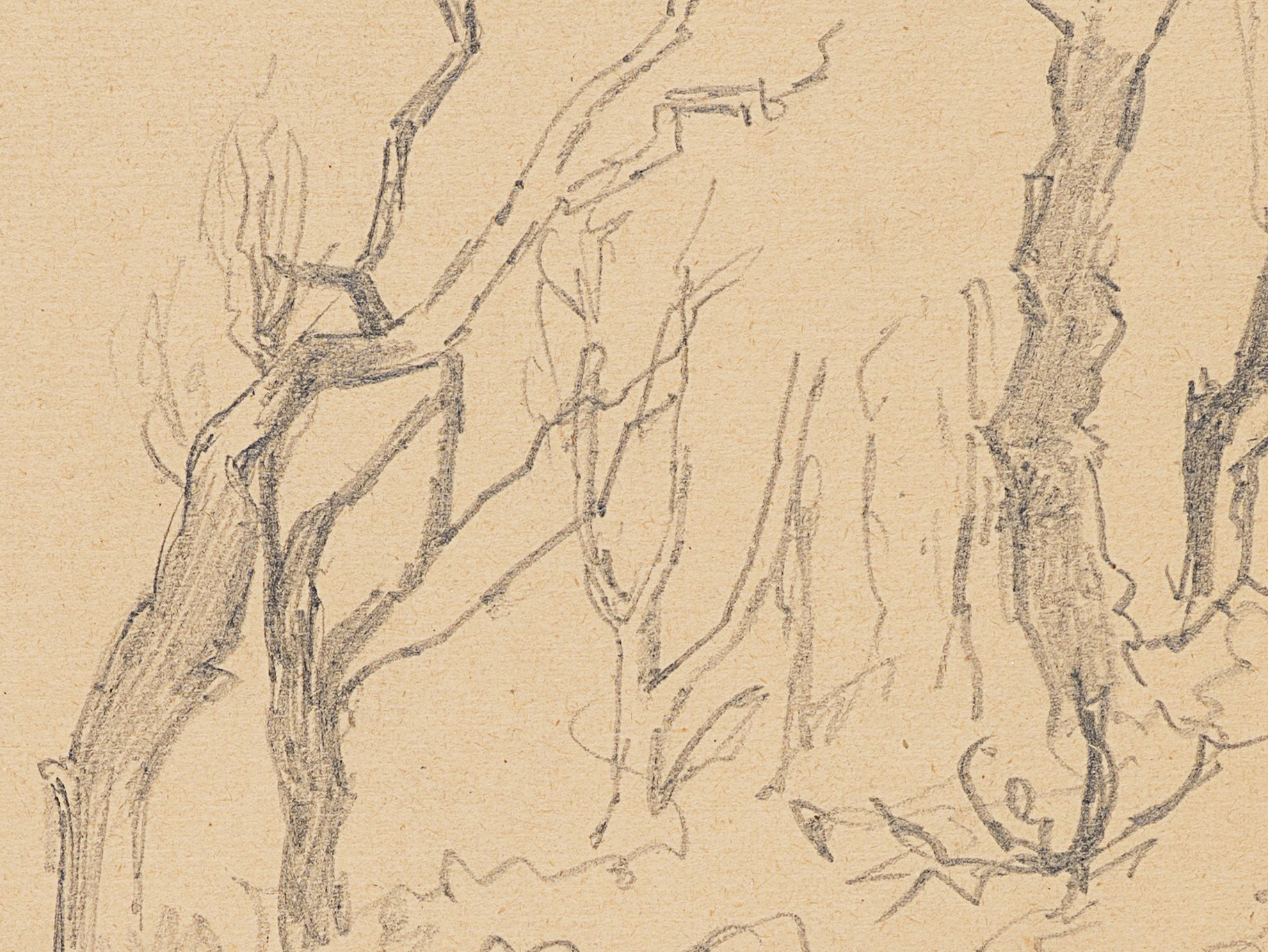 Waldstudie mit Felsenkante und kahlen Bäumen