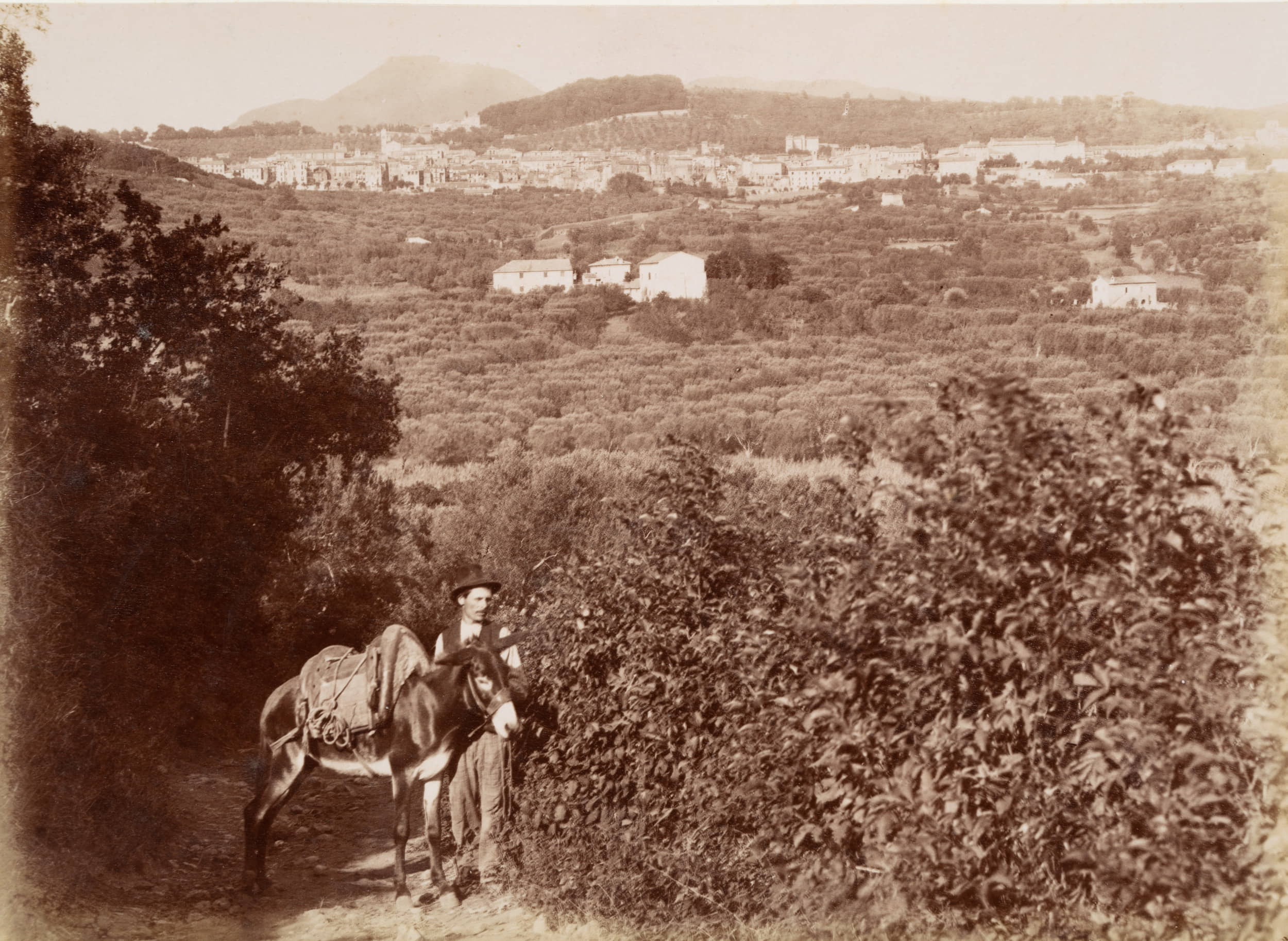 Bauer in den Albaner Hügeln