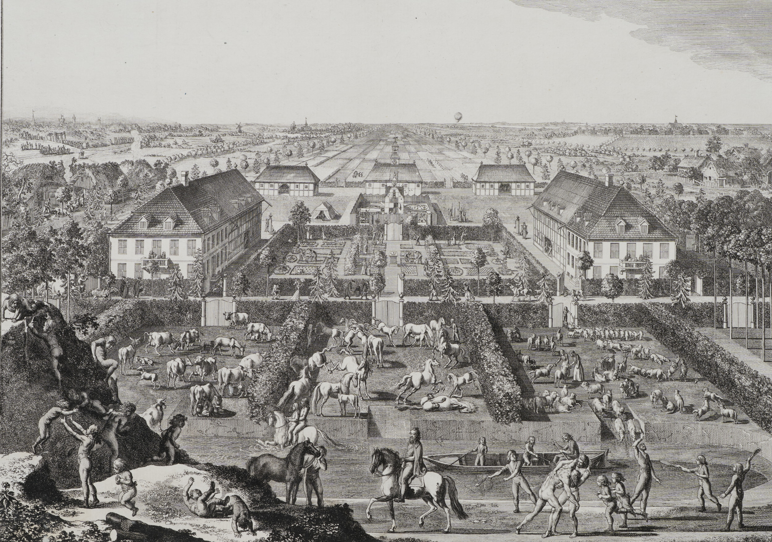 Die Kolonie