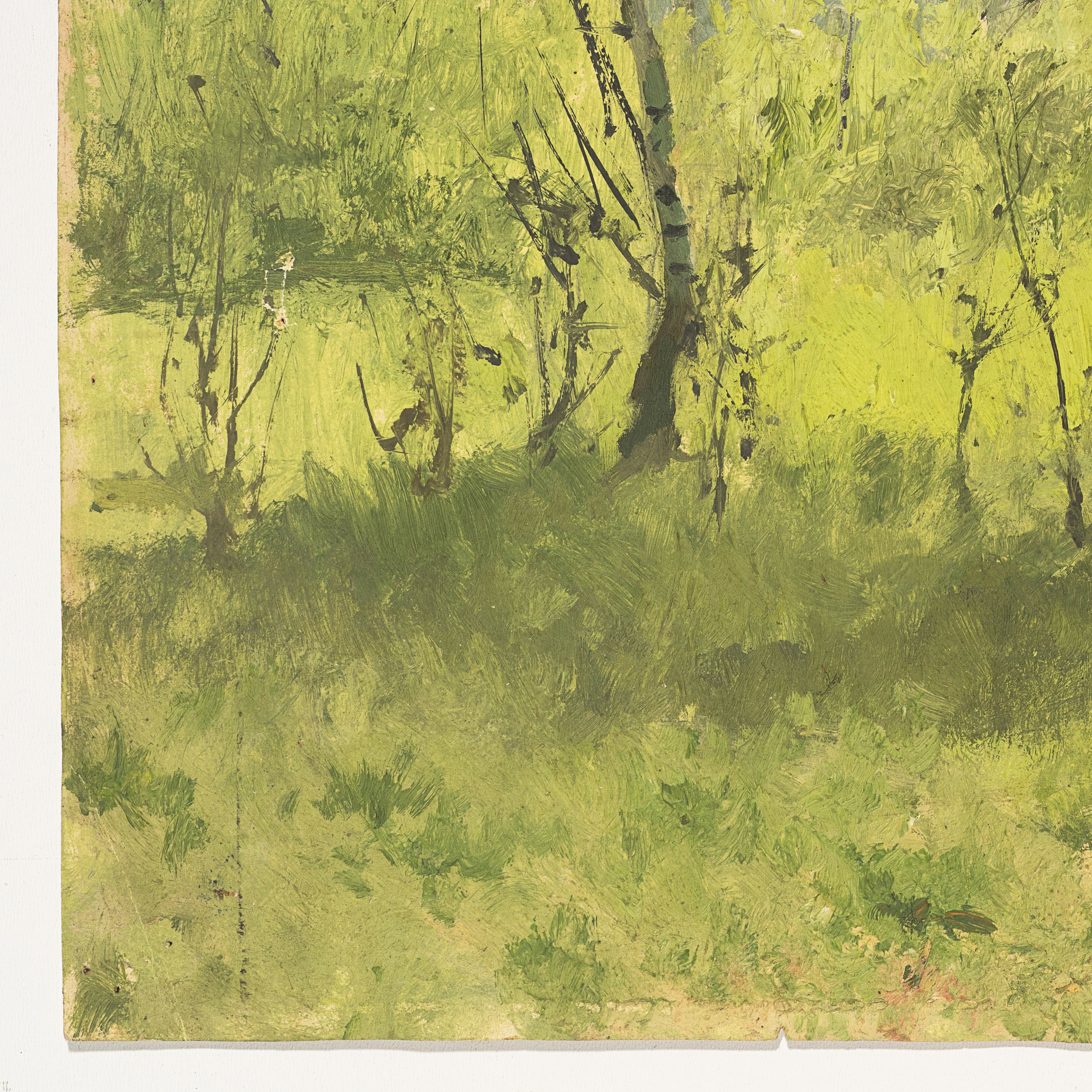 Baumlandschaft im Frühling