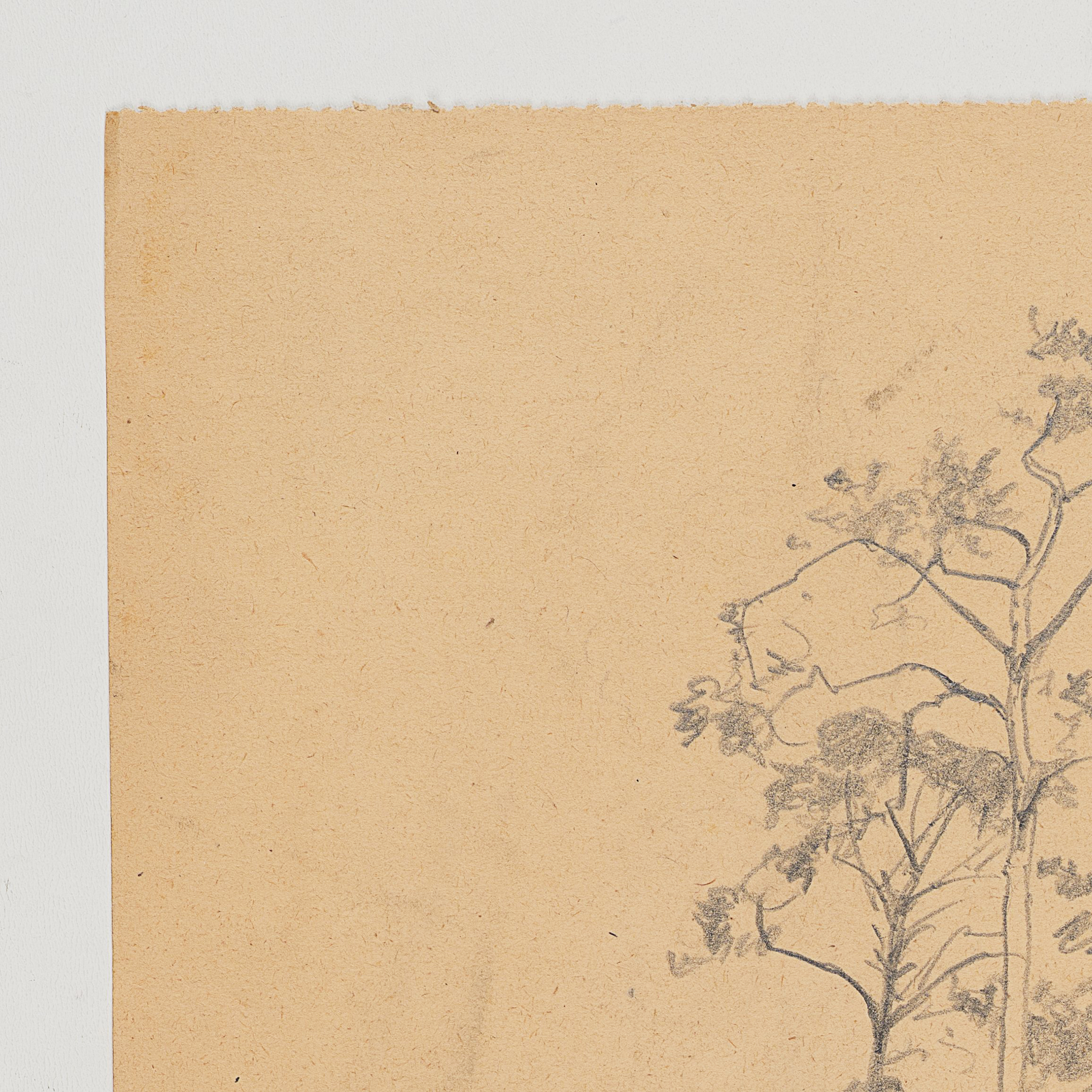 Baumgruppe, Studie
