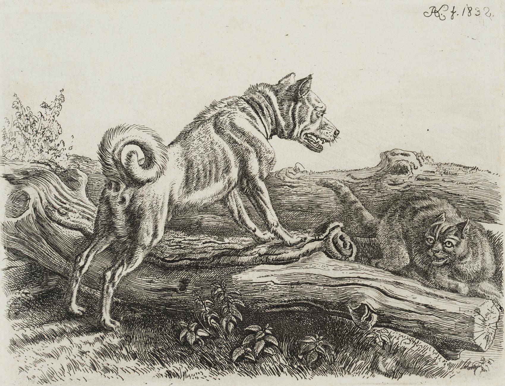 Hund und Katze bei Baumstämmen
