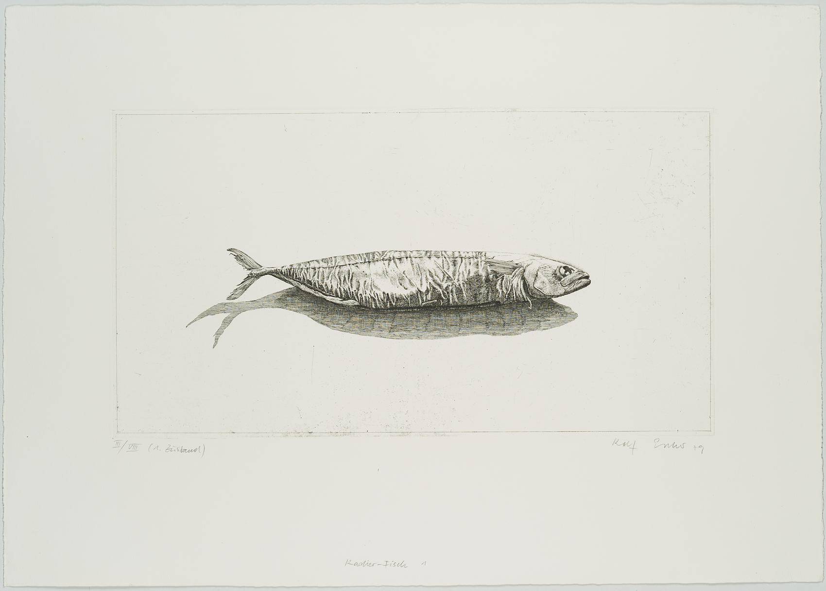 Radierfisch, 1. Zustand