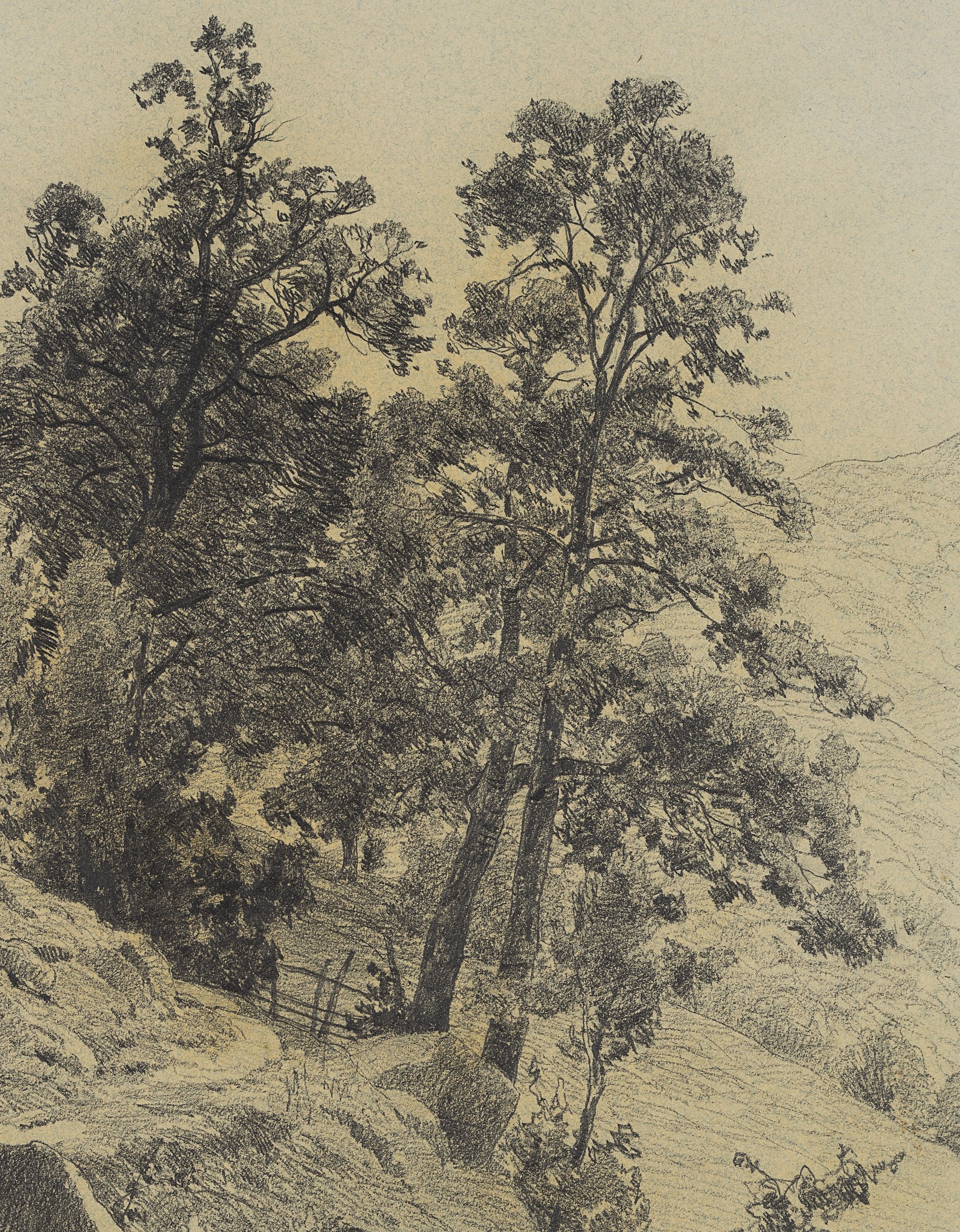 Hirtenpfad in Südtiroler Berglandschaft