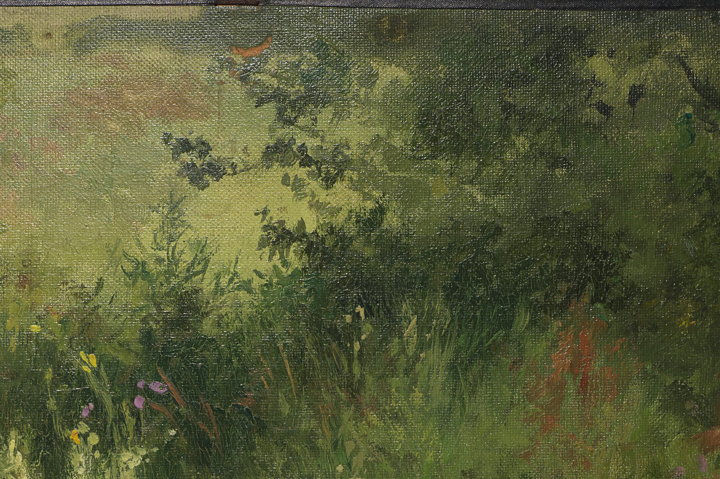 Sommerliche Wildblumenwiese