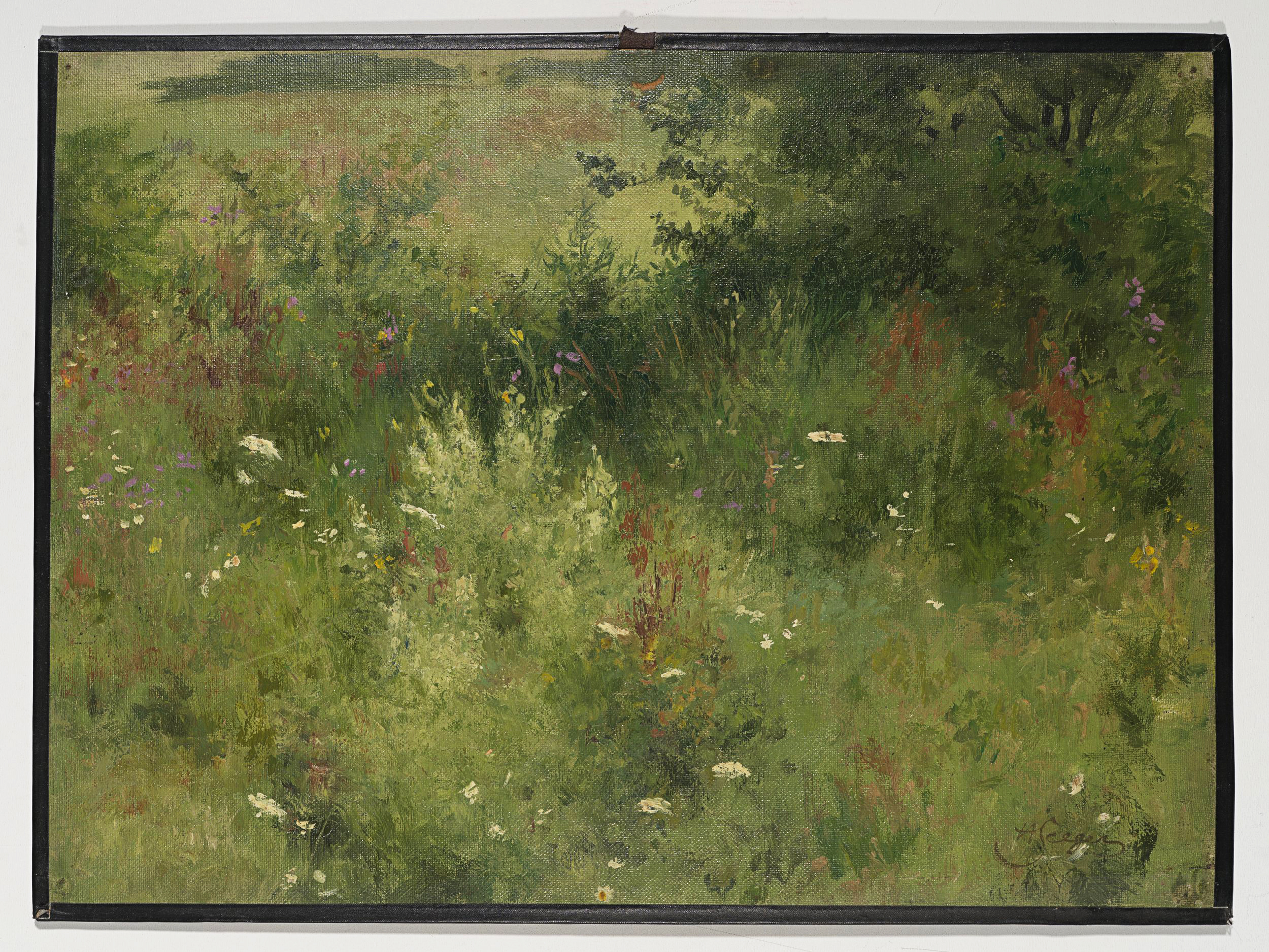 Sommerliche Wildblumenwiese