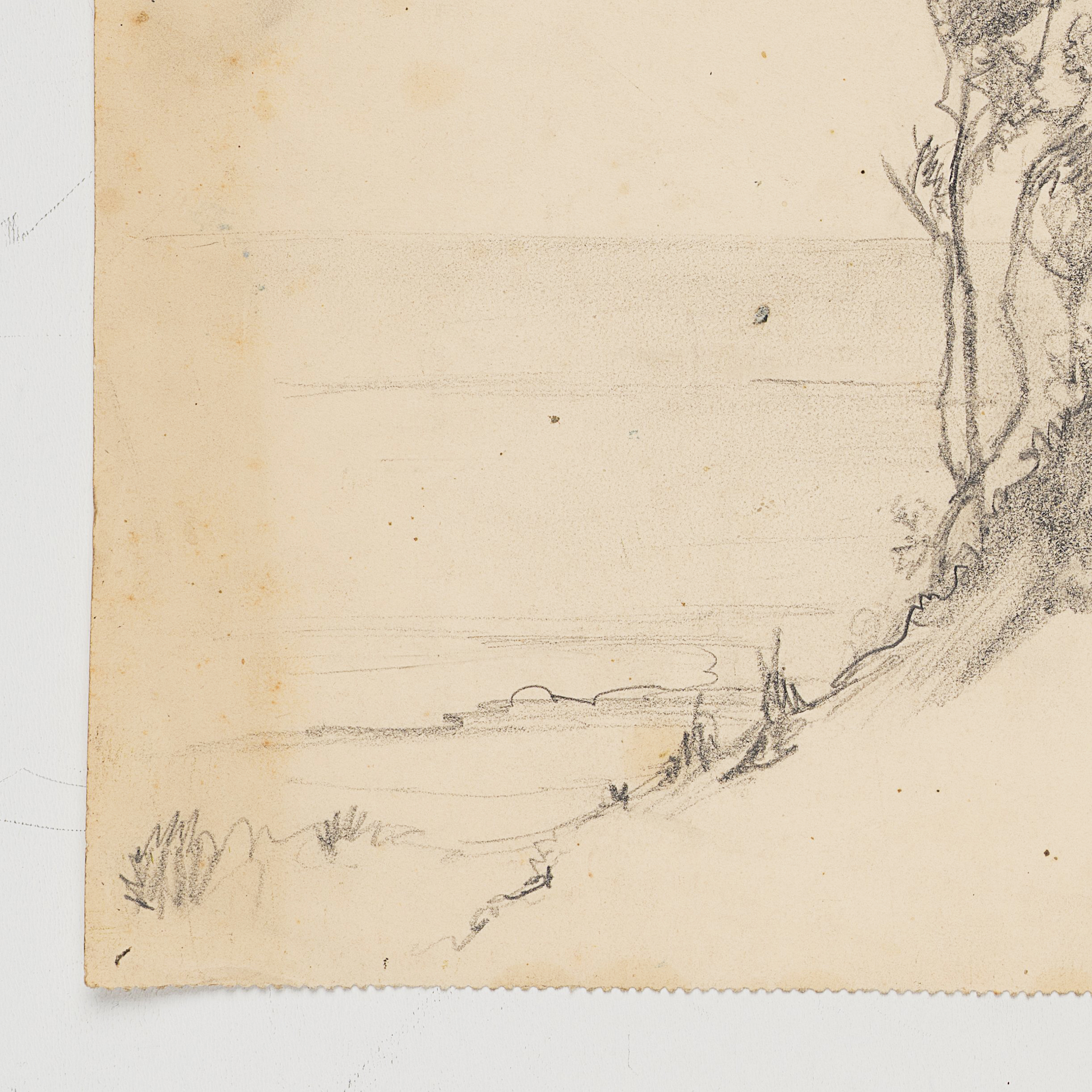 Studie bewachsener Dünen mit Blick auf Meer