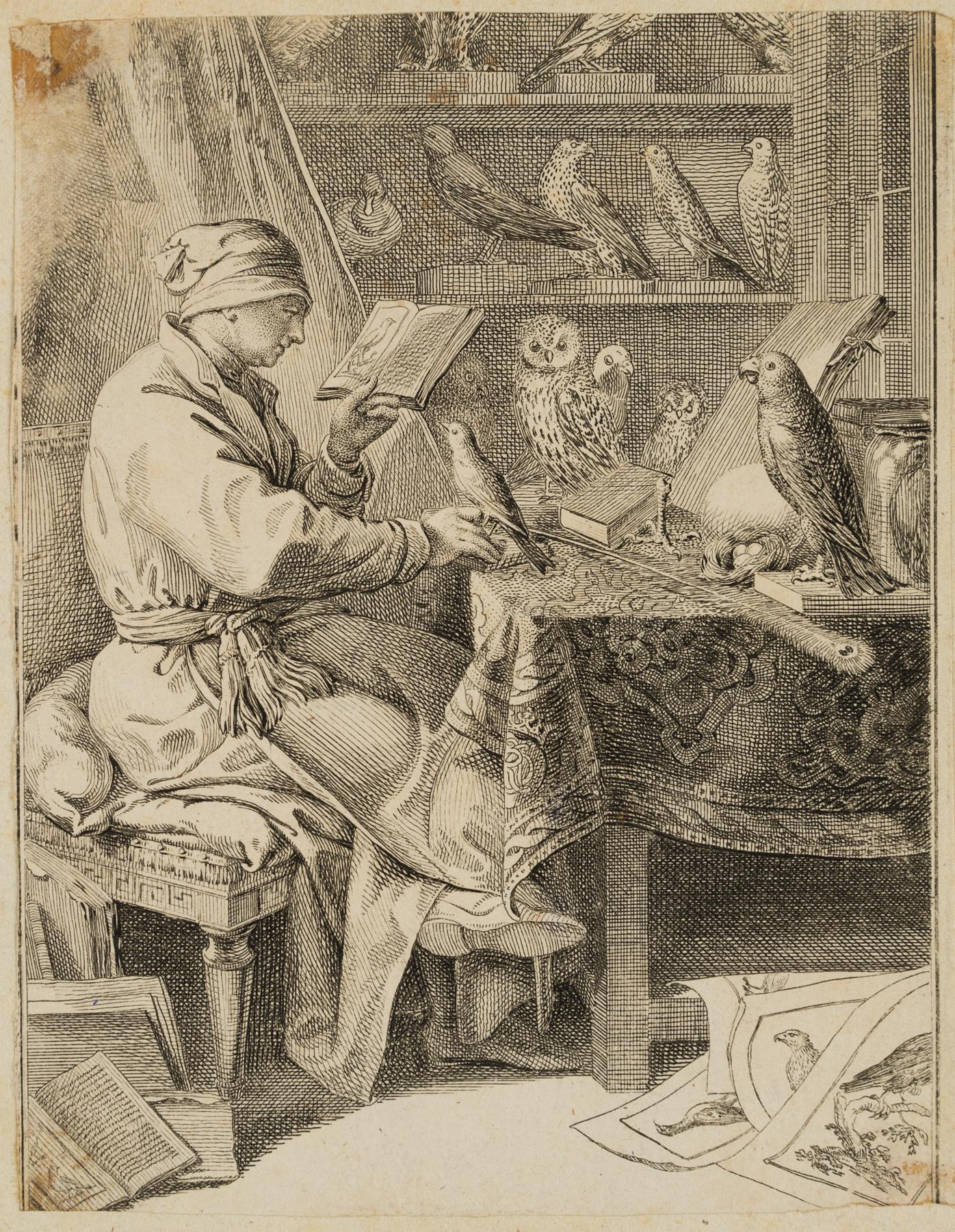 Der Vogelkundler