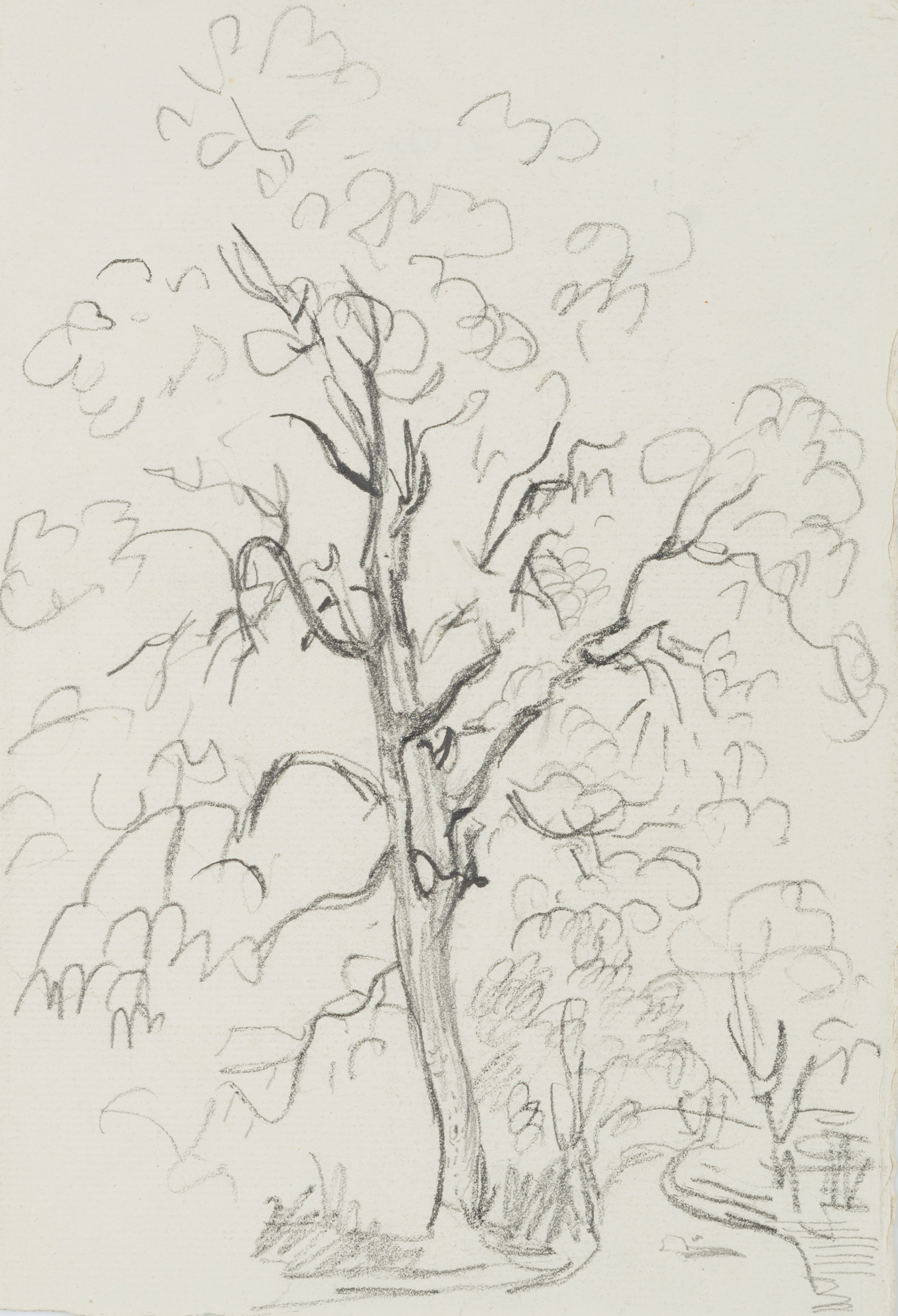 Baum am Wegrand