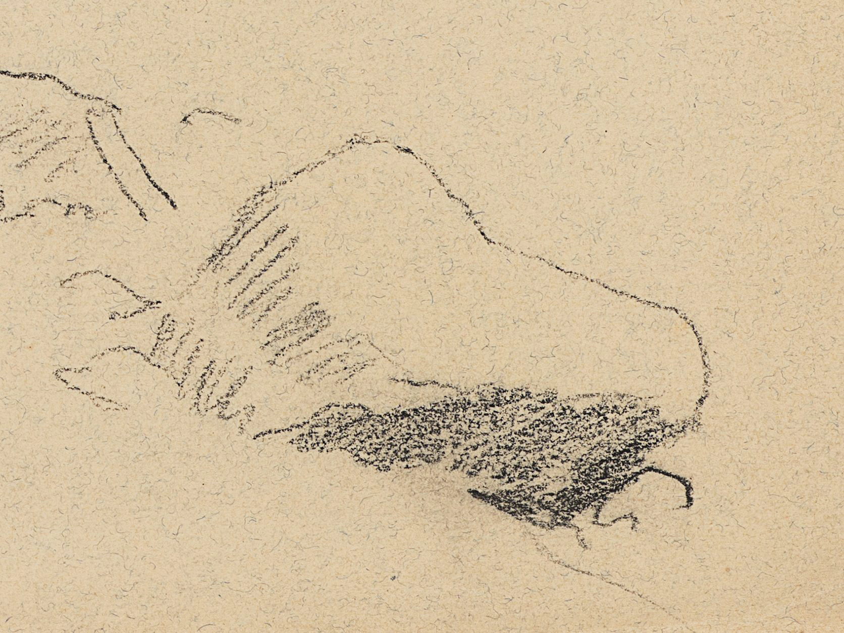 Studie einiger Felsen am Ufer