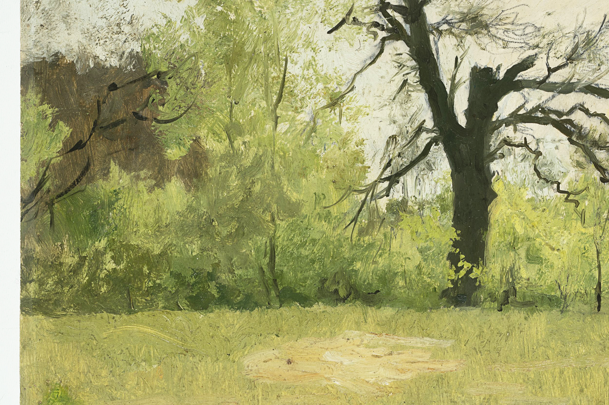 Baumlandschaft im Frühling