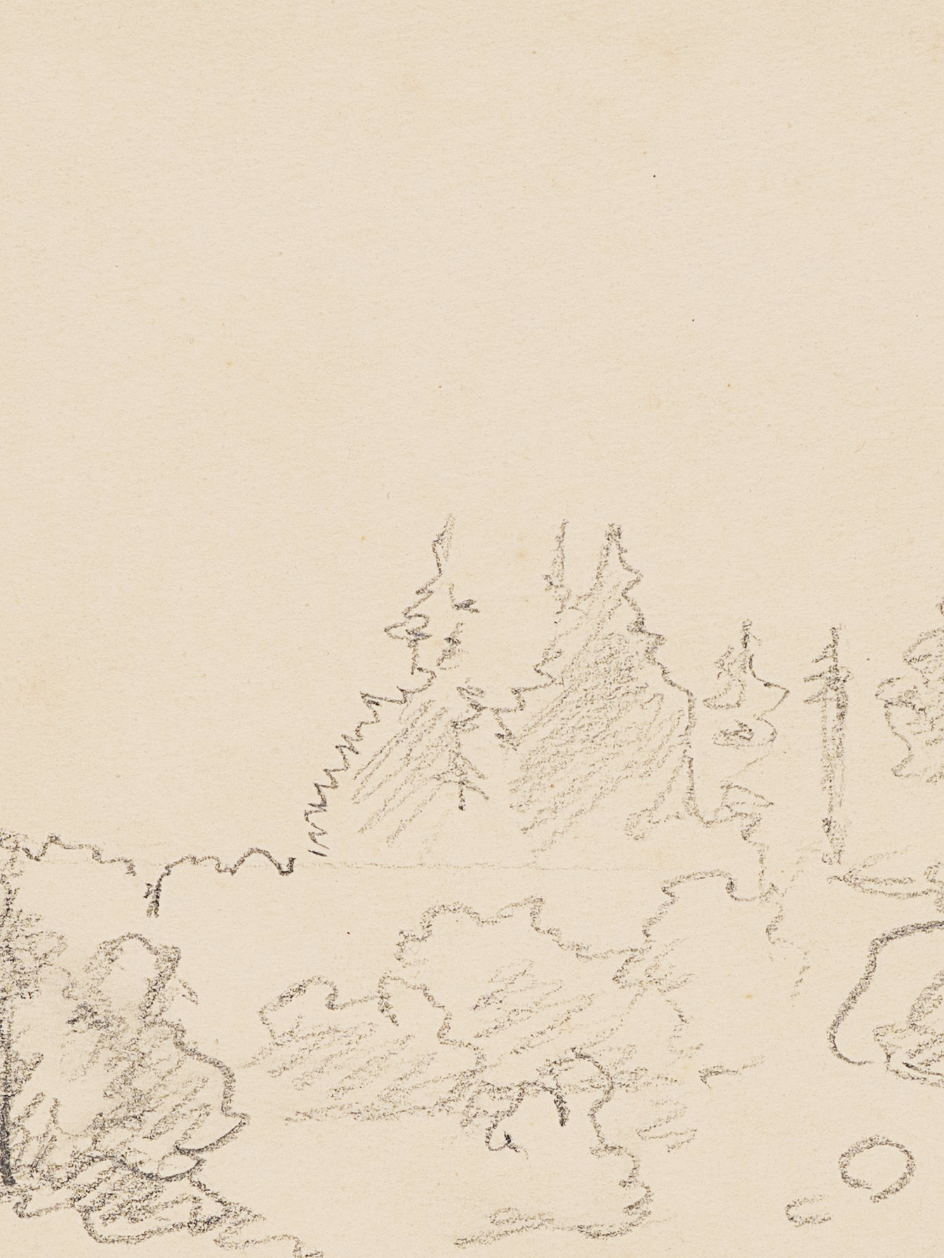 Landschaftsstudie mit Baumgruppen