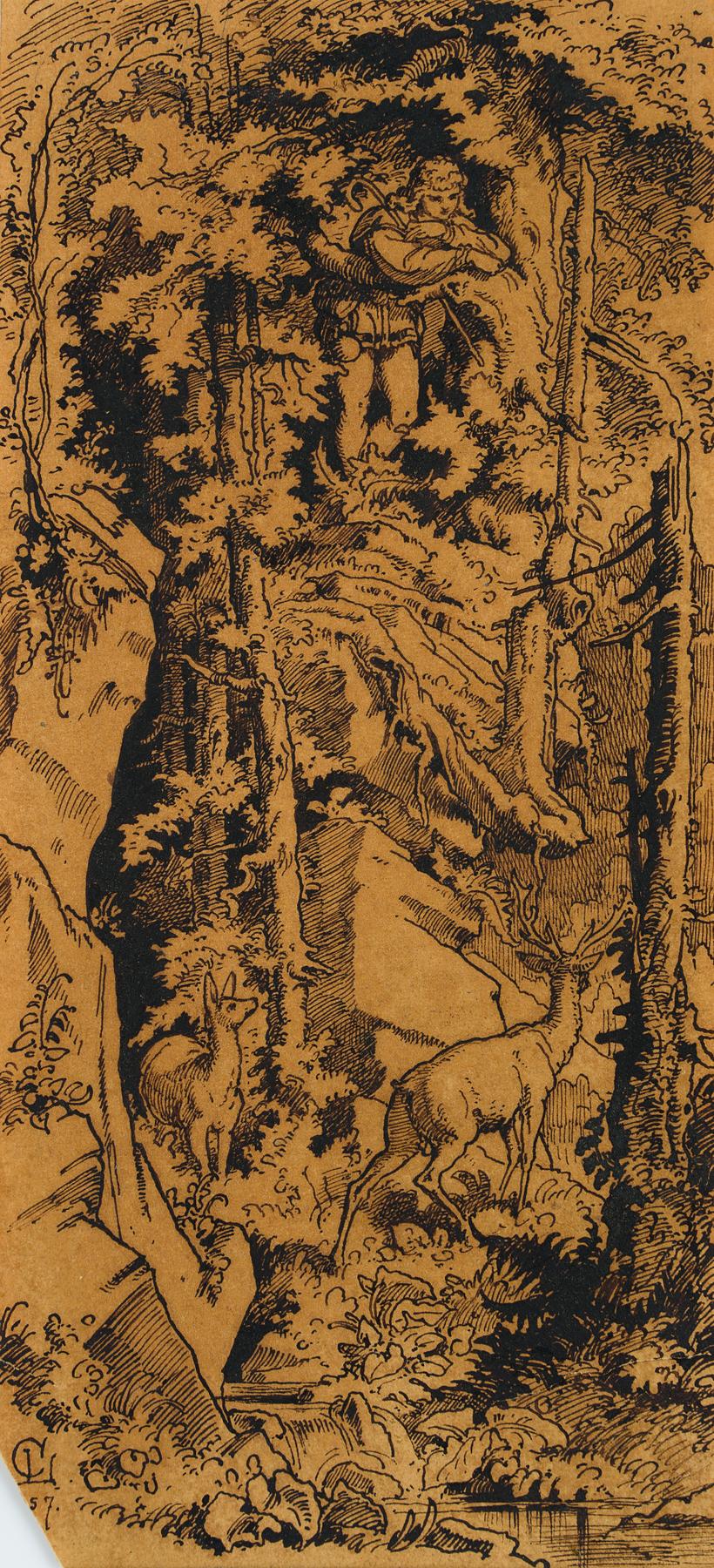 Jüngling beobachtet Hirsche im Wald