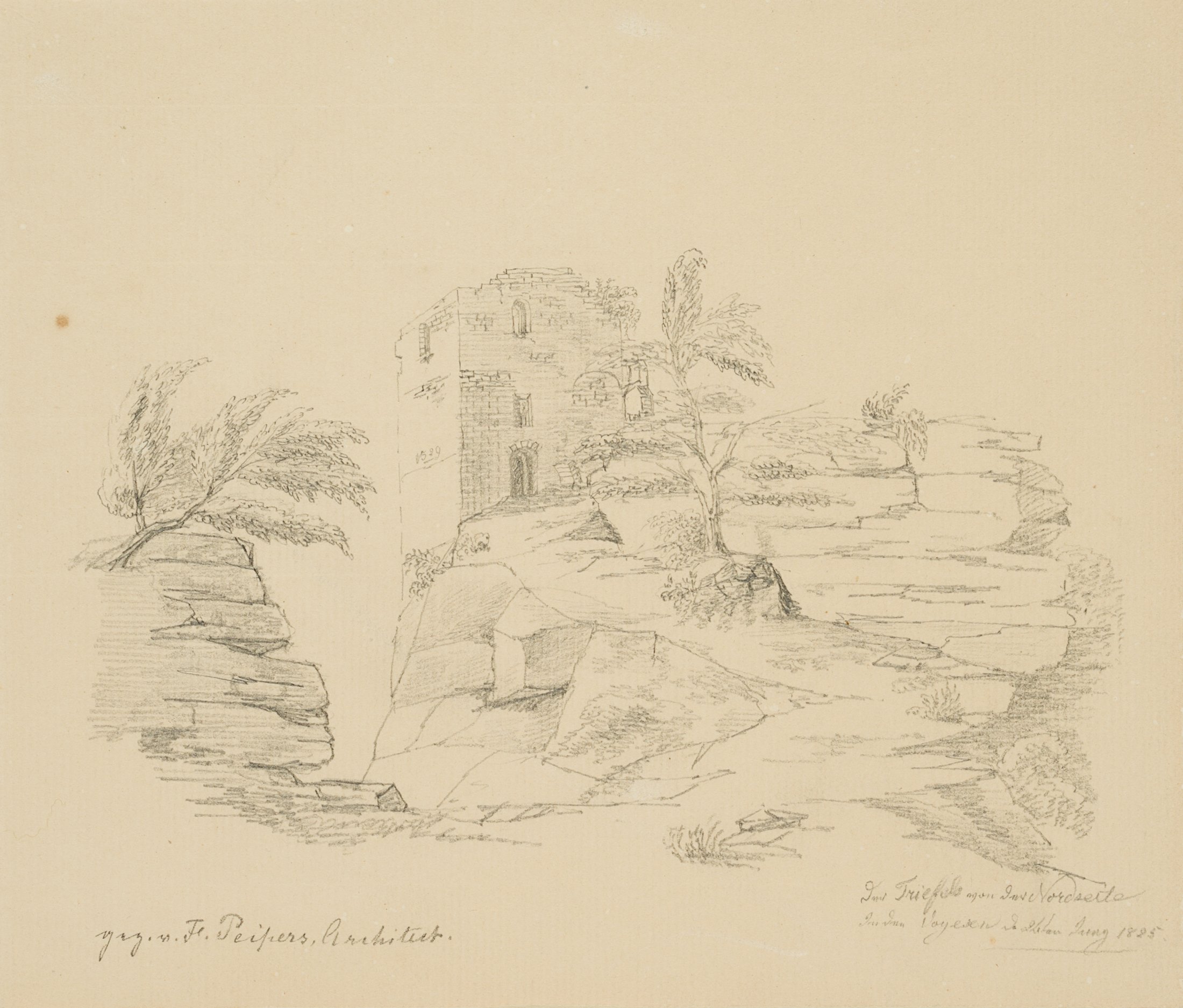 Ruine der Burg Trifels von der Nordseite aus gesehen