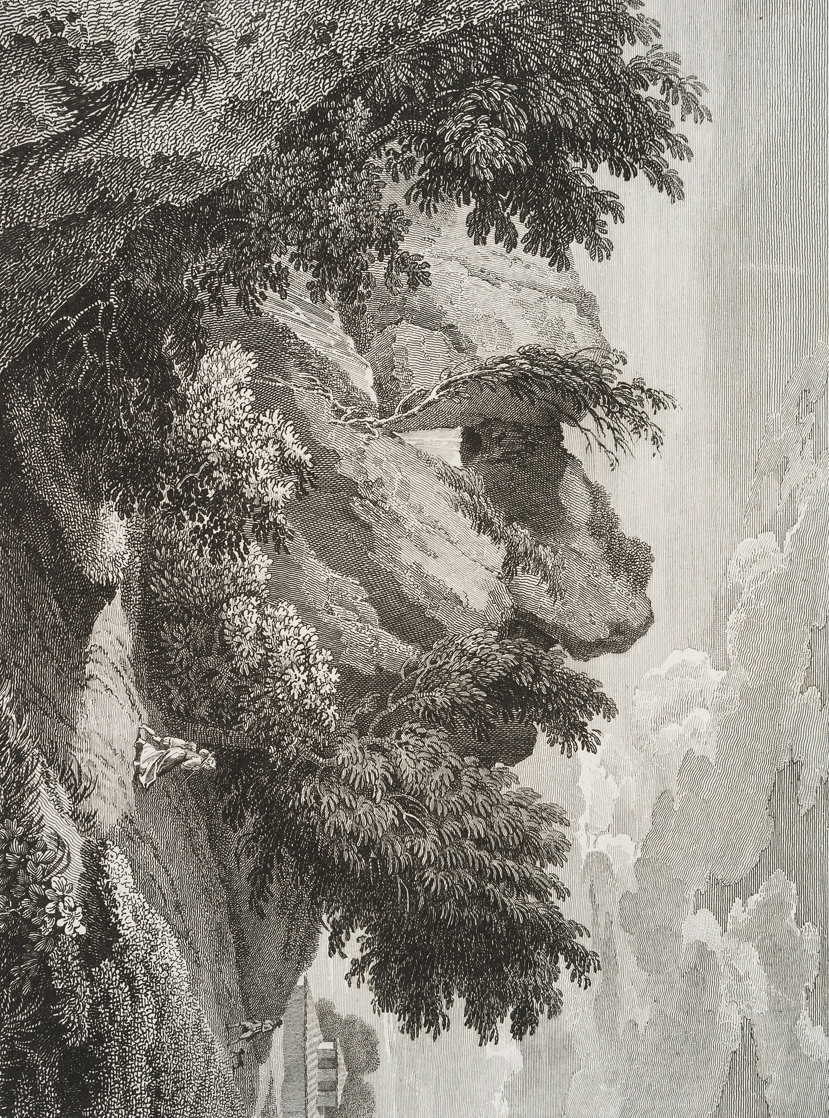 Vexierbild: Landschaft und Kopf