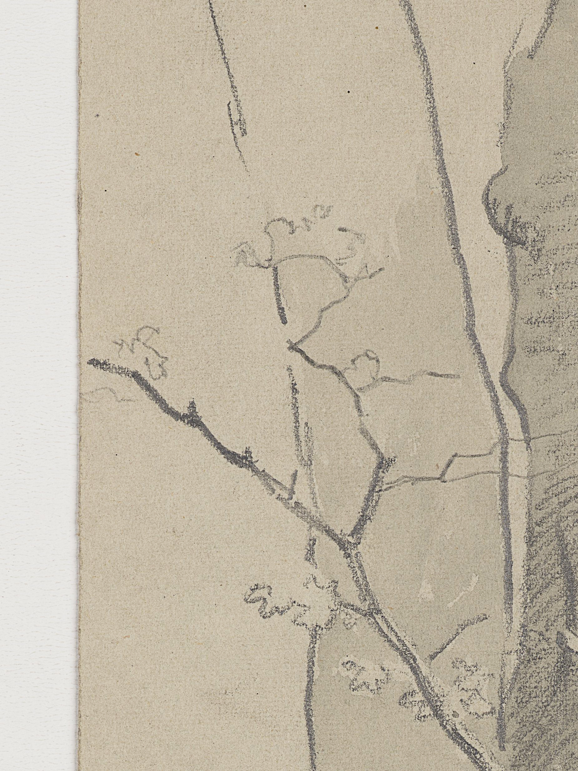 Studie zweier Baumstämme