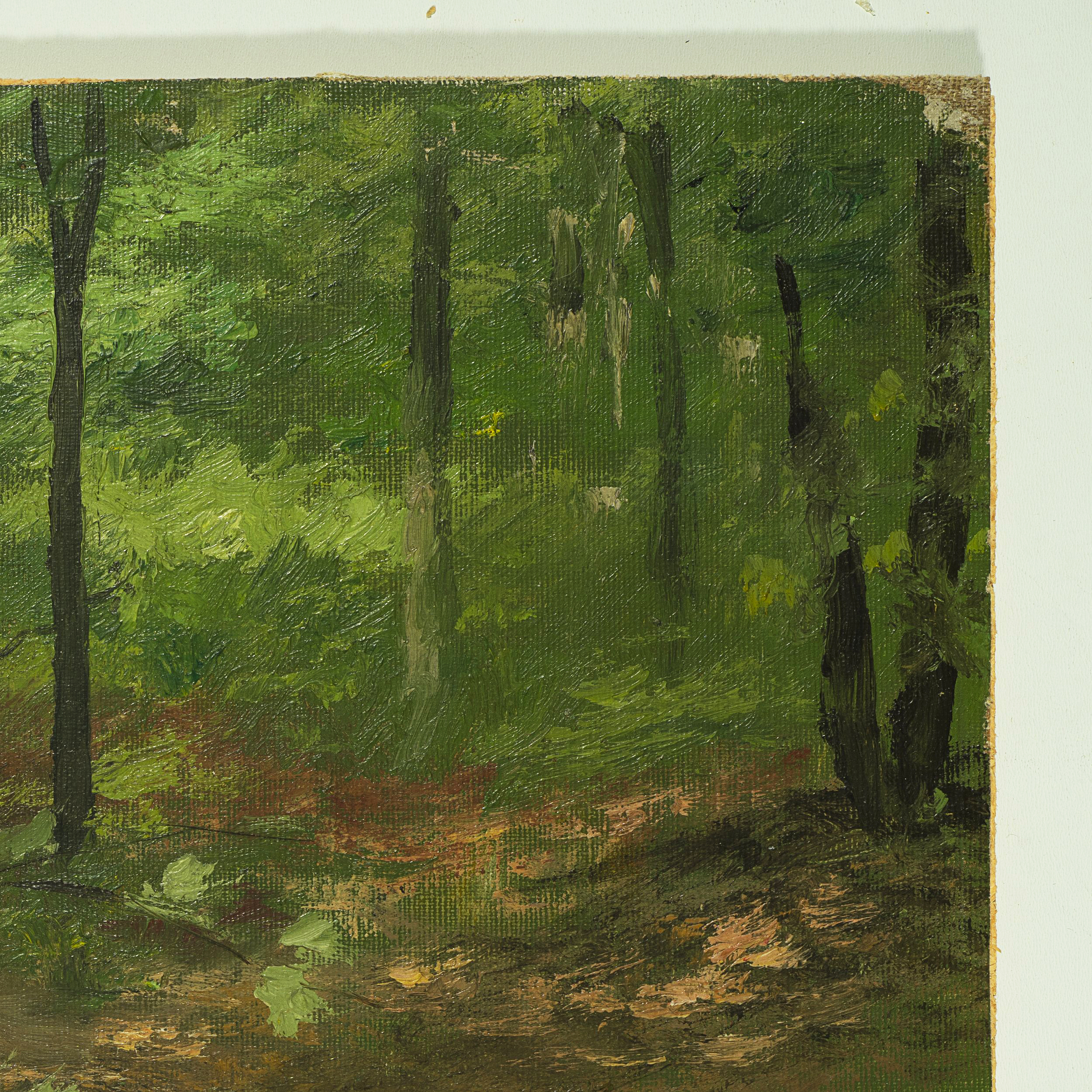 Waldbodenstrauch im Sommerwald