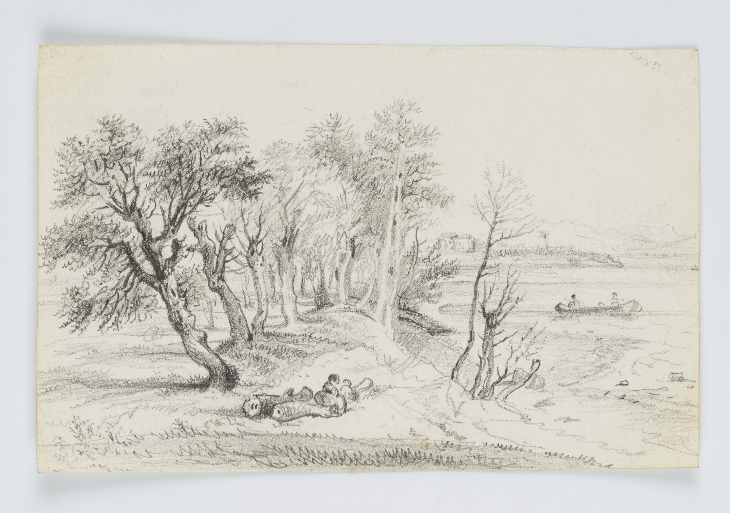 Uferlandschaft mit Weiden