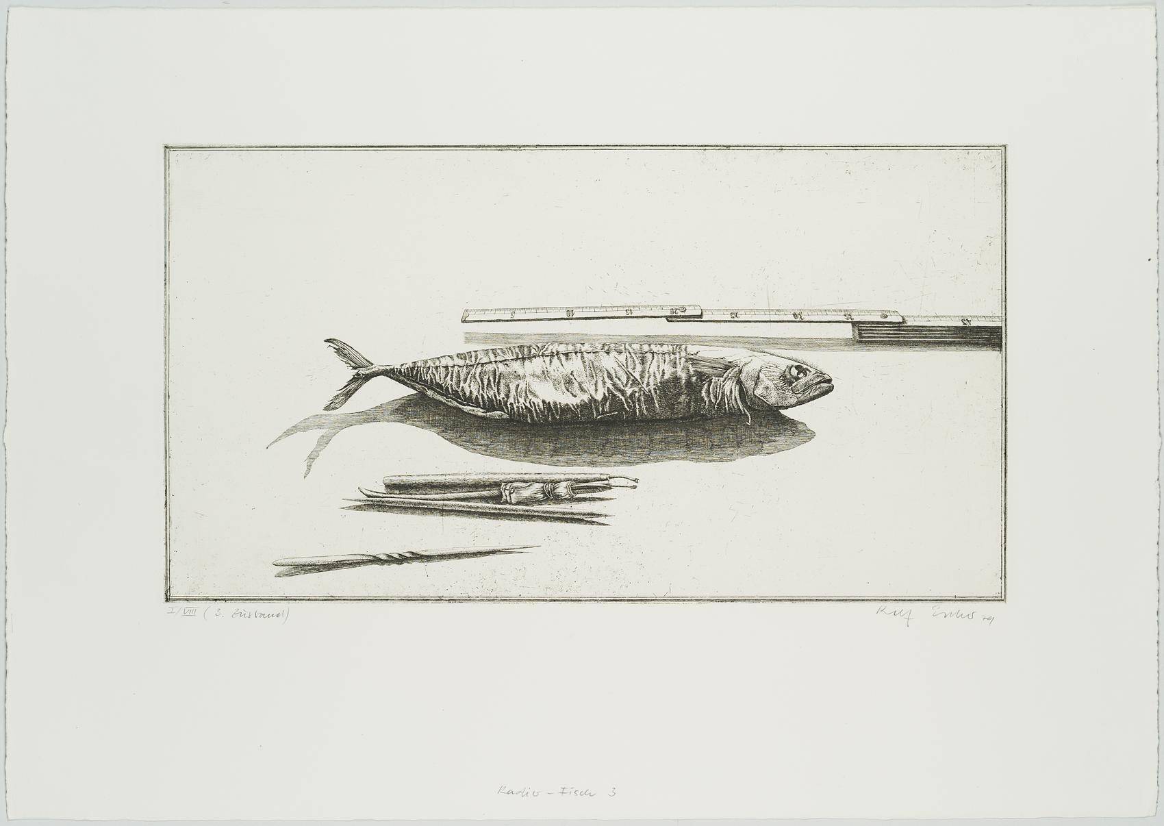Radierfisch, 3. Zustand
