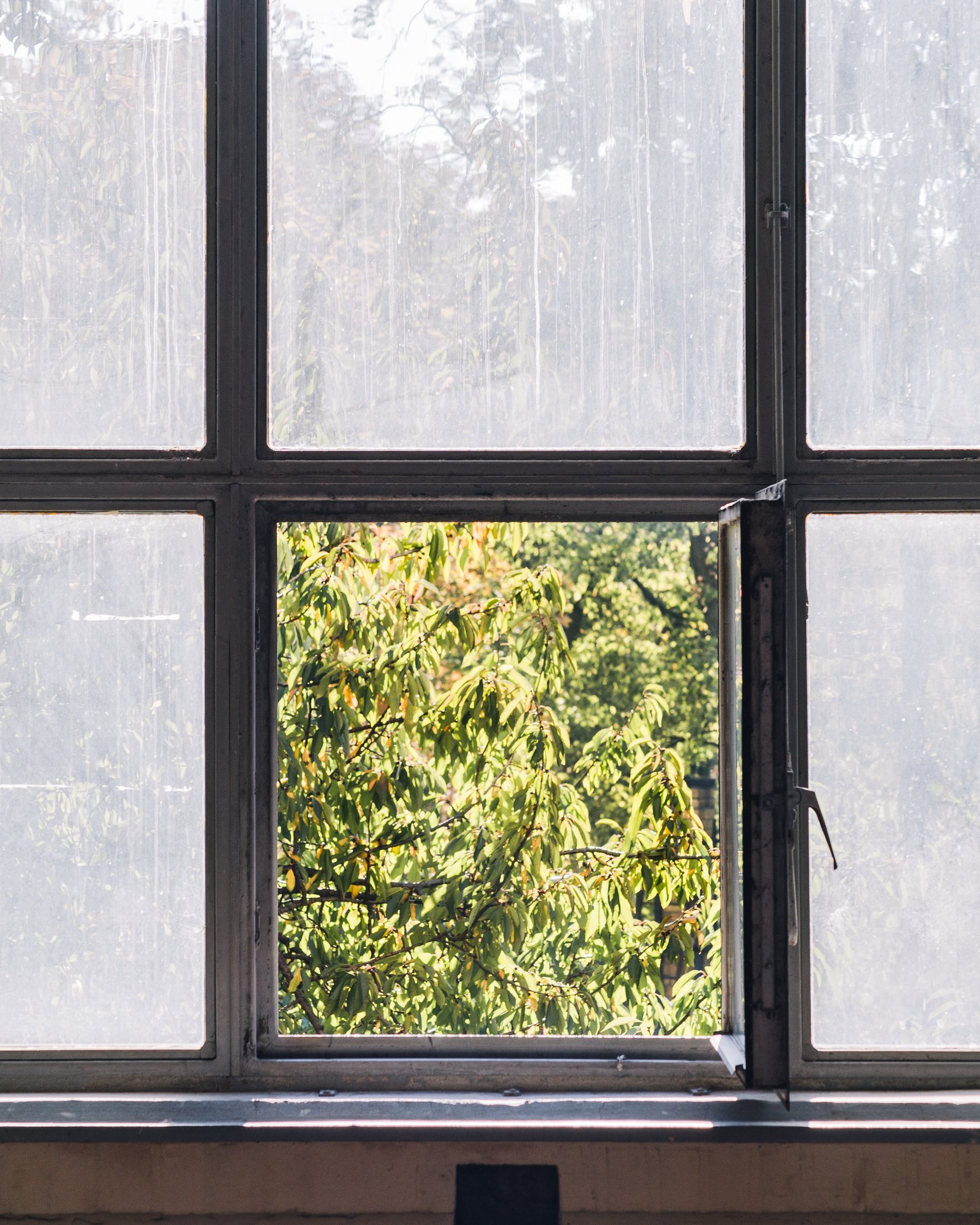 Am Fenster