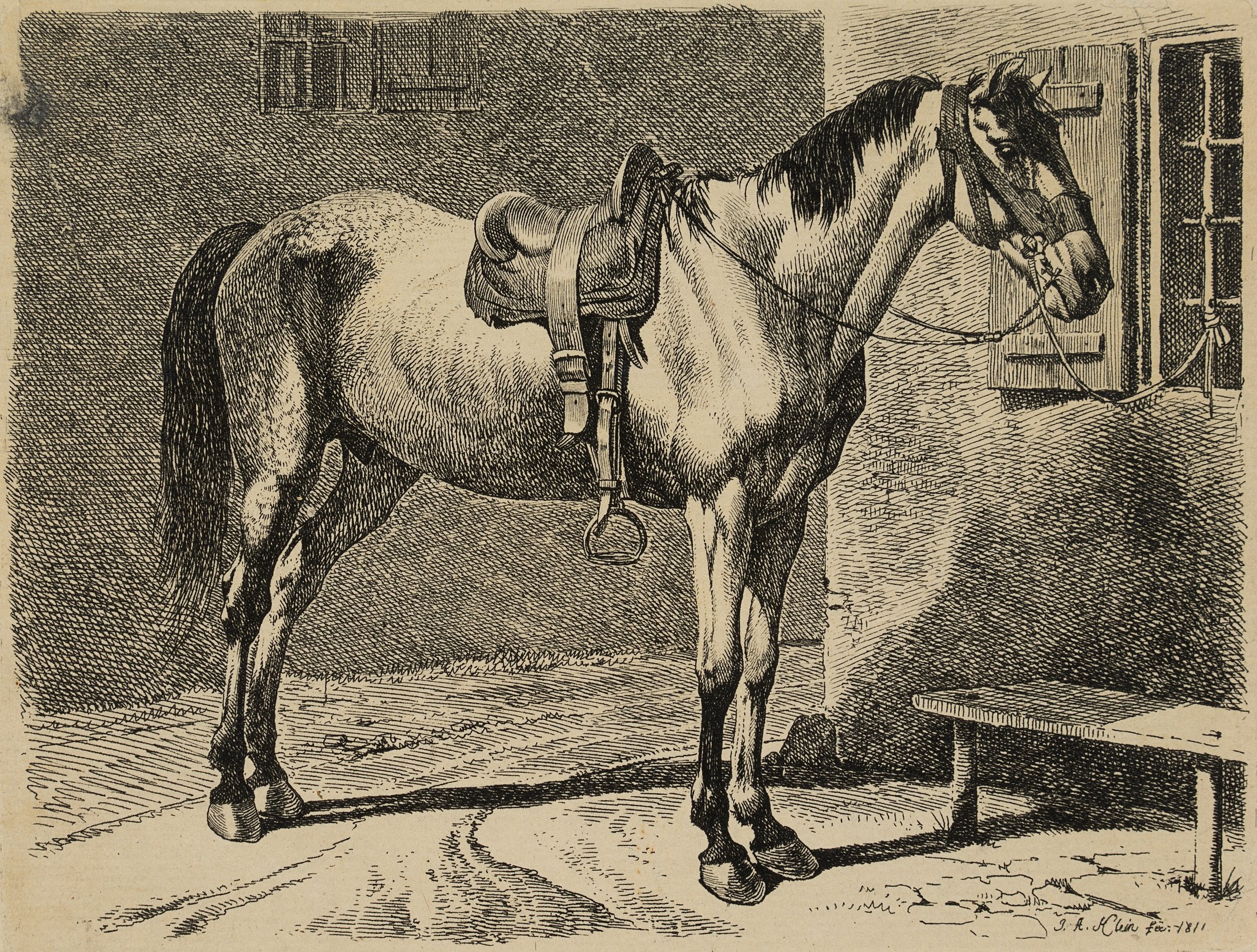Das Bauernpferd am Fenstergitter