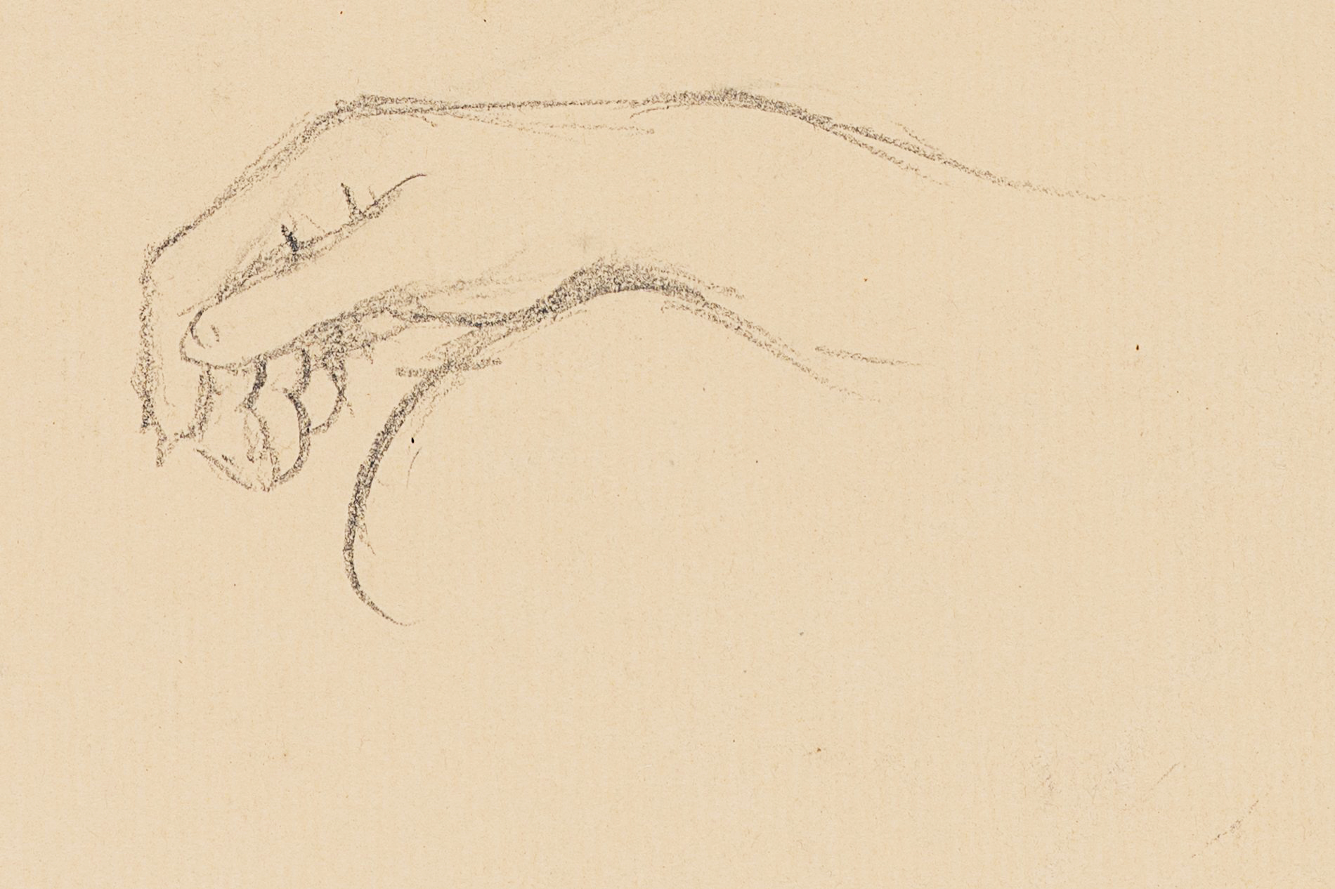 Zwei Handstudien, Arm und lockere Hand