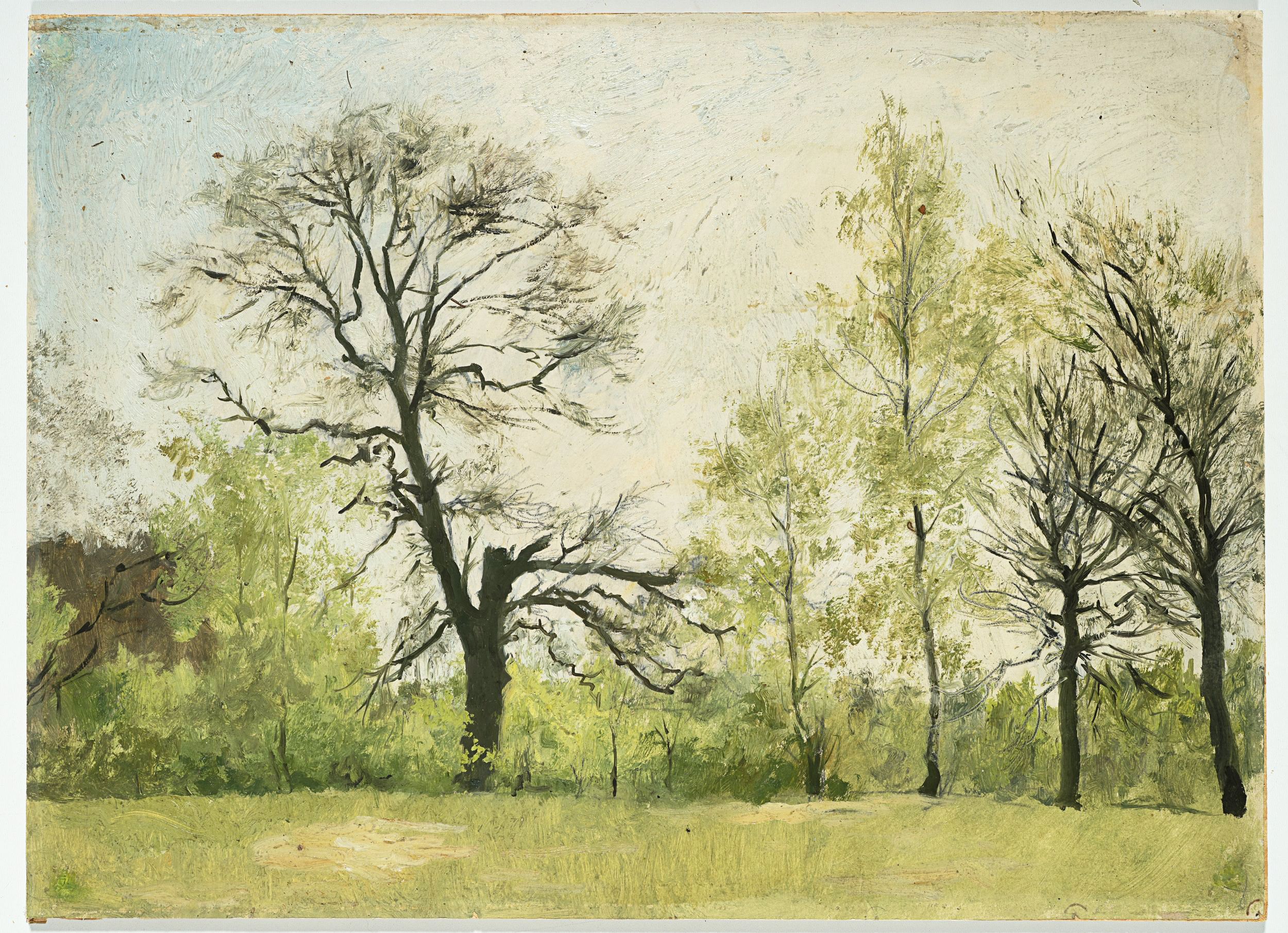 Baumlandschaft im Frühling