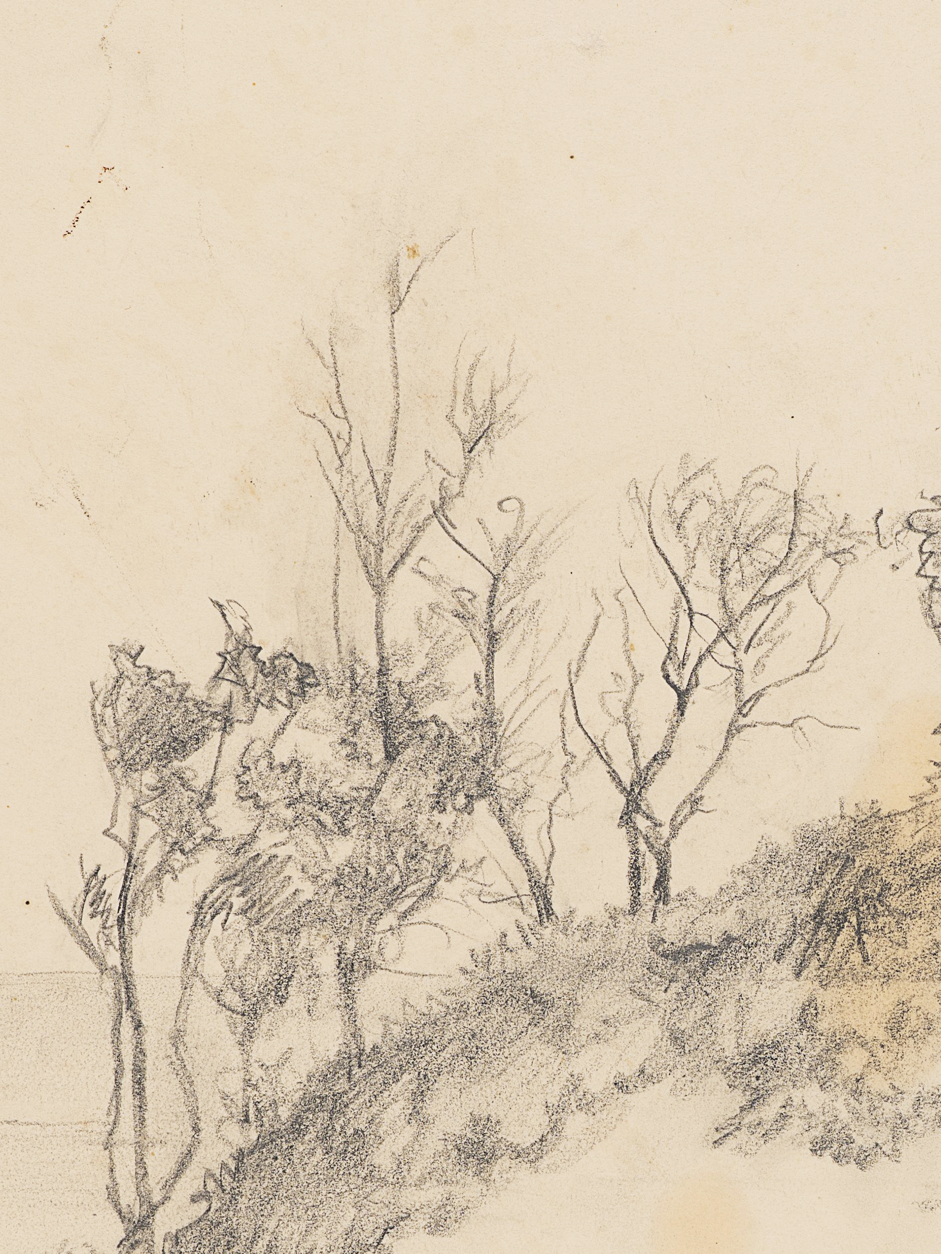 Studie bewachsener Dünen mit Blick auf Meer