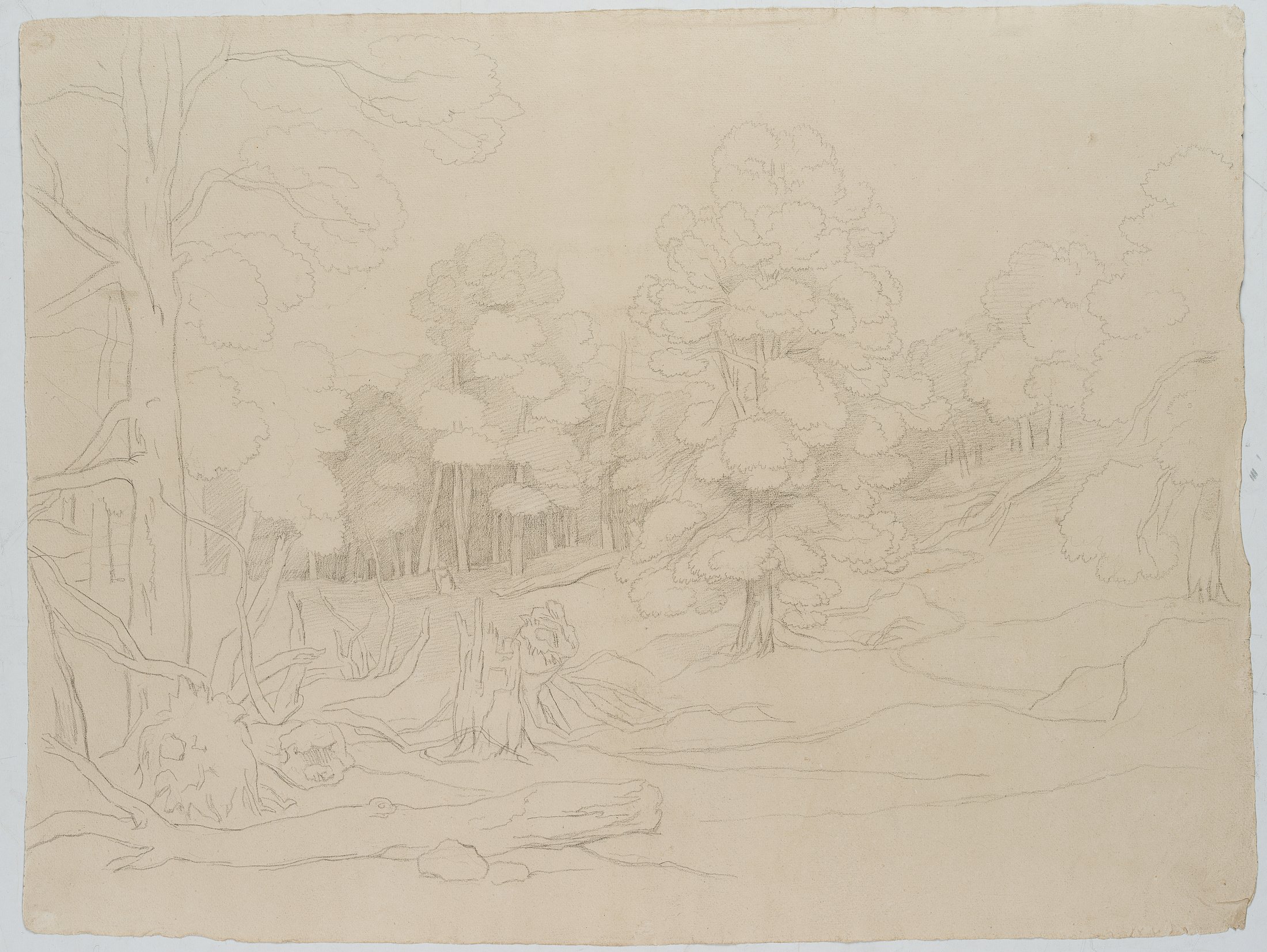 Studie einer Baumgruppe mit Fernblick aus dem Chigi-Park in Ariccia