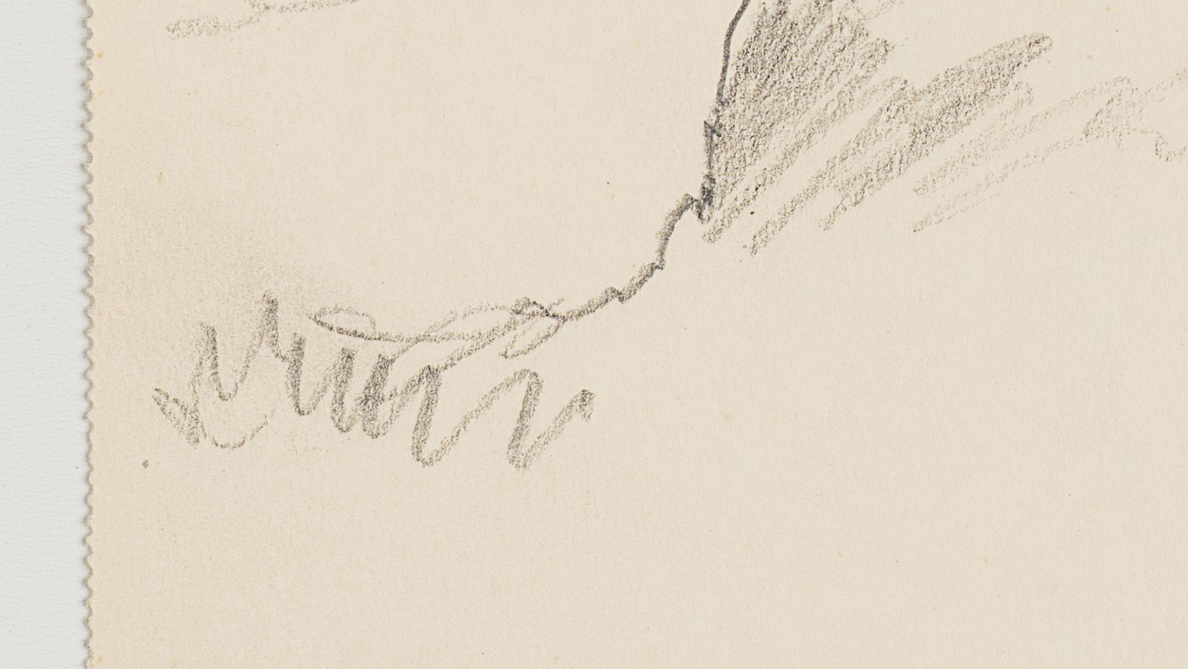 Baumgruppe auf Felsvorsprung. Küstenlandschaft