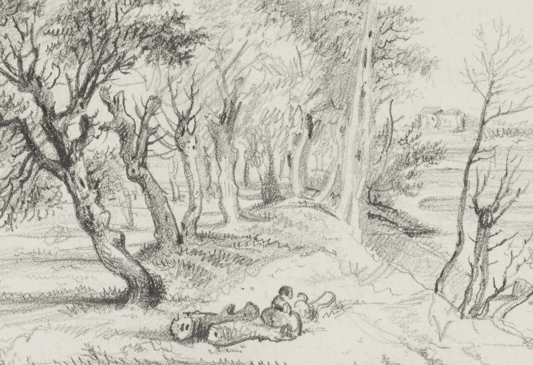 Uferlandschaft mit Weiden