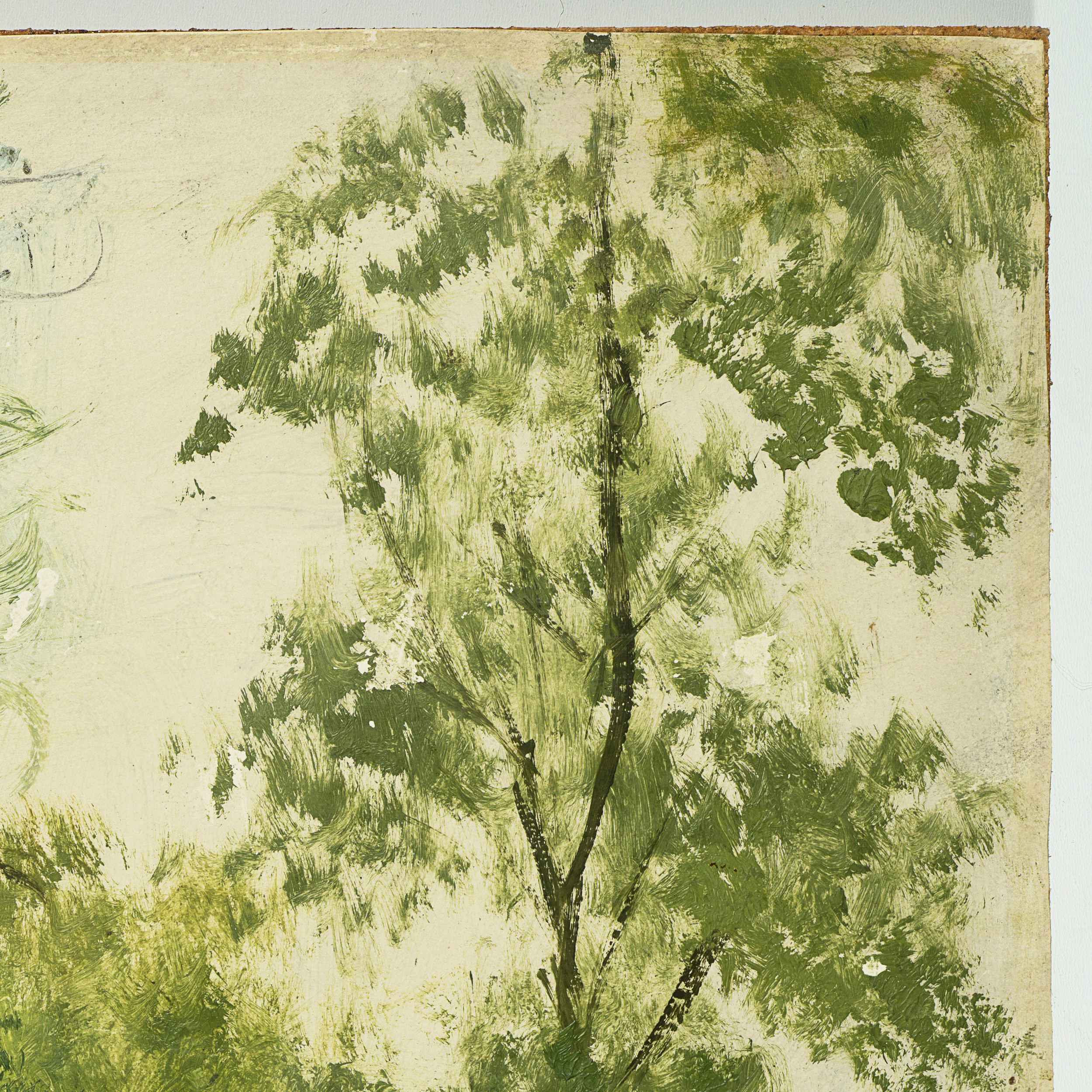 Waldlichtung im Sommer