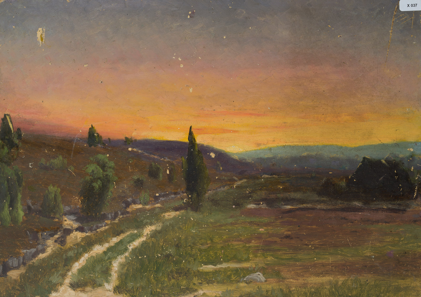 Niederdeutsche Heide im Sonnenuntergang