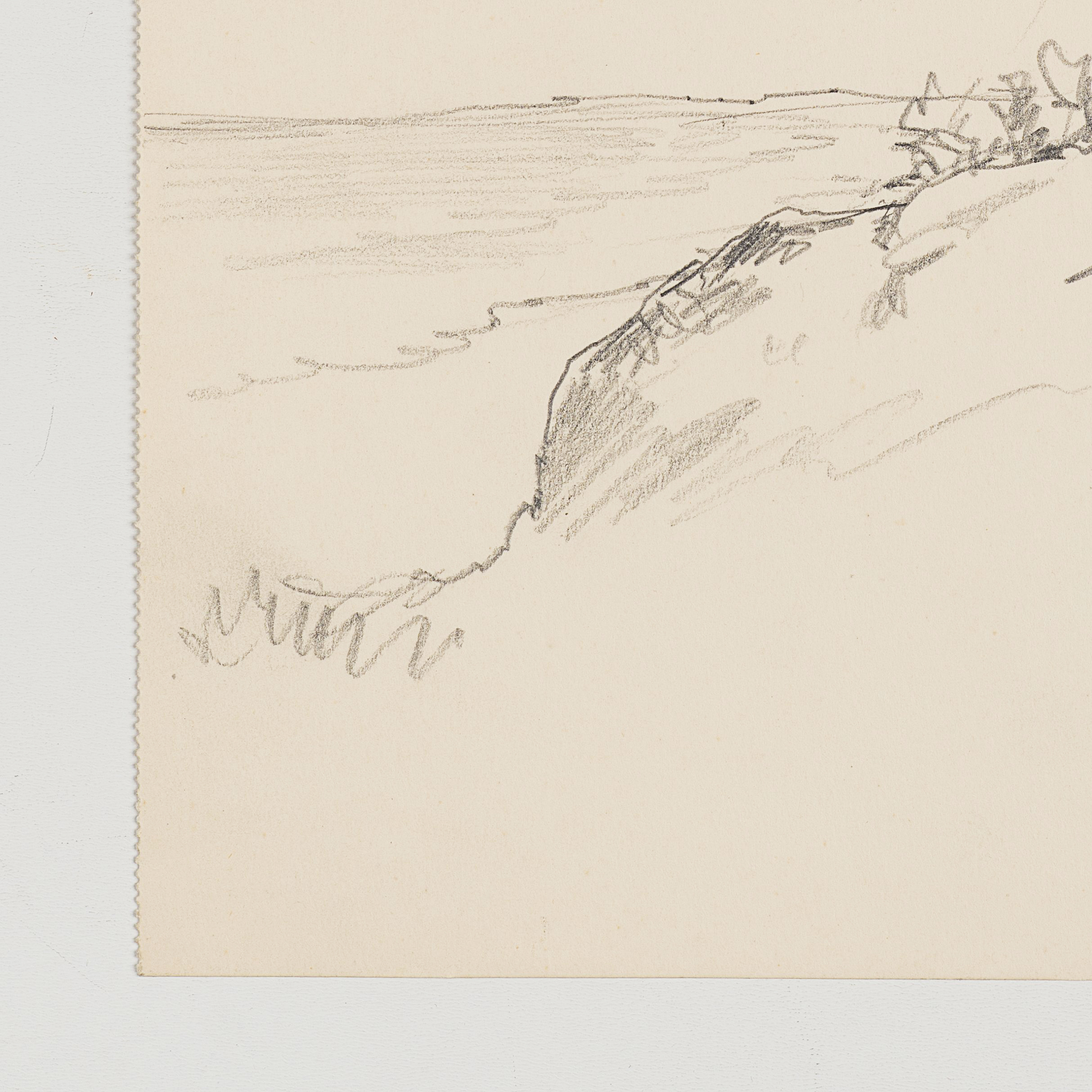 Baumgruppe auf Felsvorsprung. Küstenlandschaft