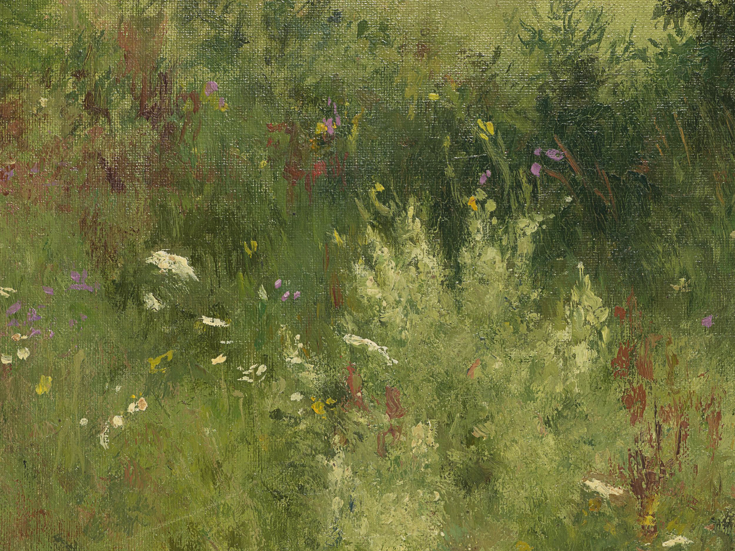 Sommerliche Wildblumenwiese