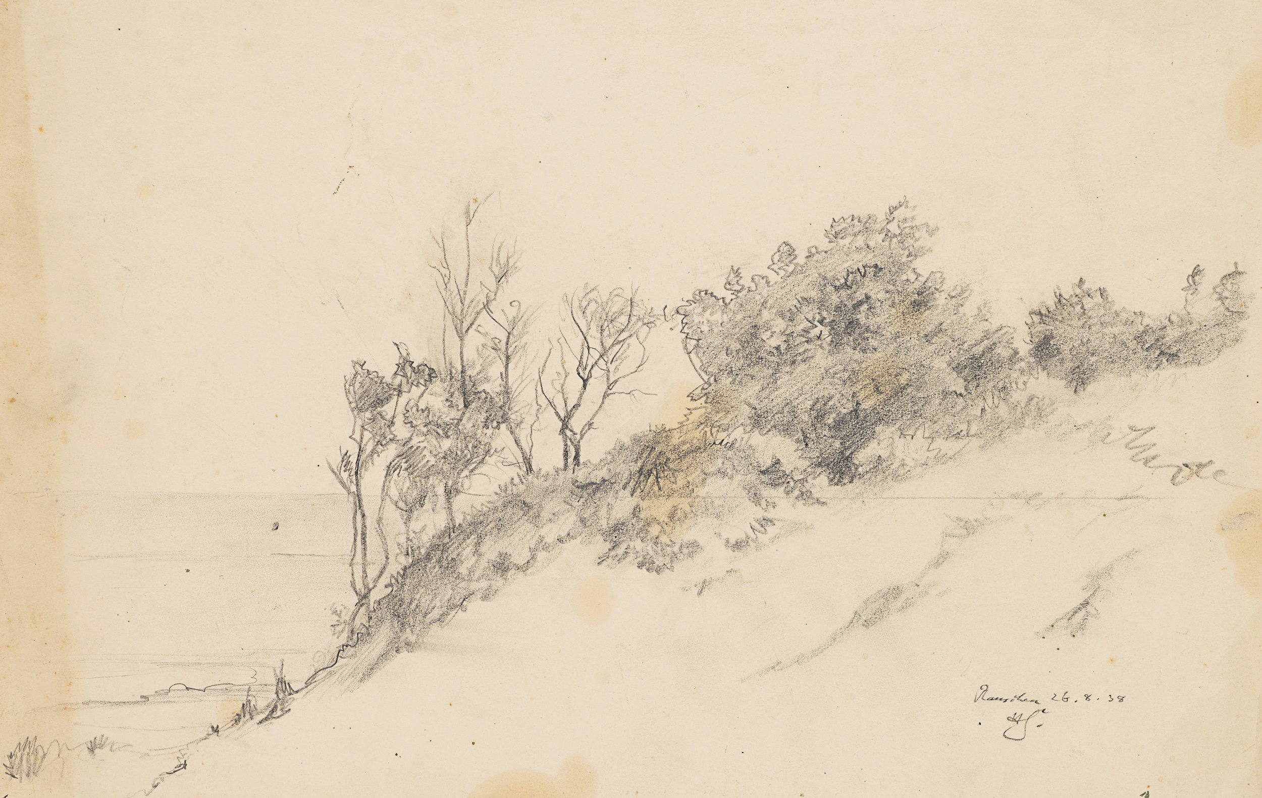 Studie bewachsener Dünen mit Blick auf Meer