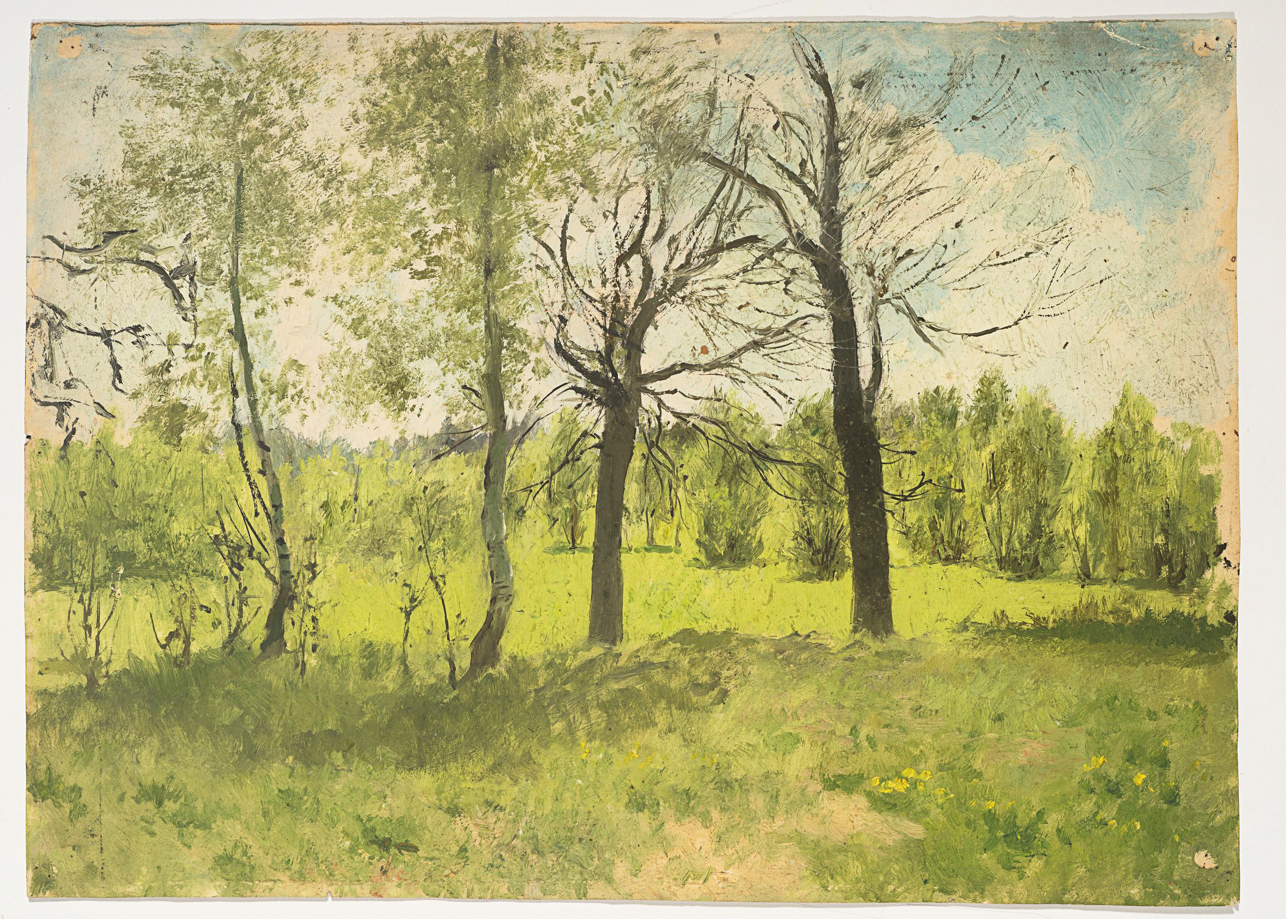 Baumlandschaft im Frühling