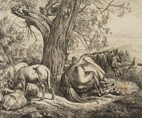 Das Pferd am Weidenbaum