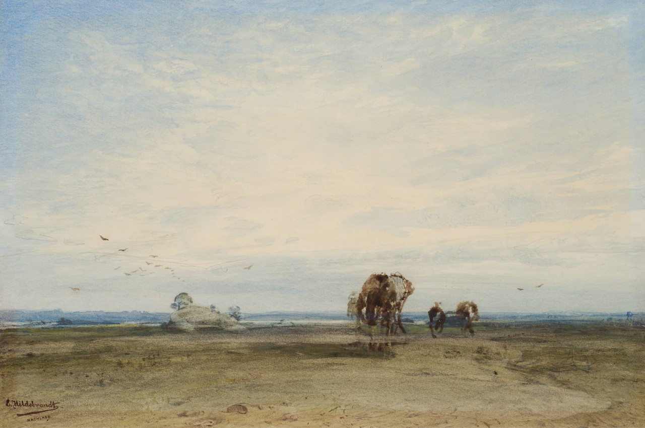 Weite Landschaft, wohl Ceylon
