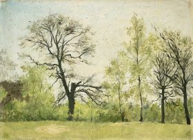 Baumlandschaft im Frühling
