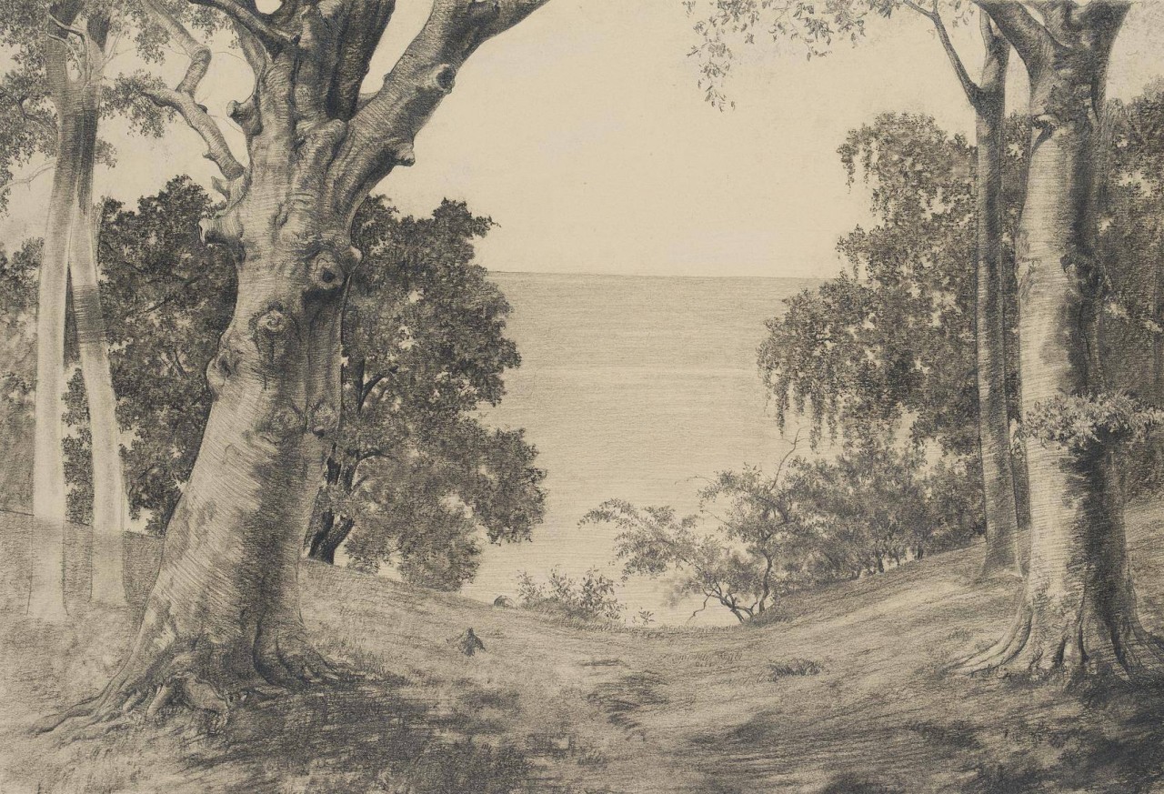 Landschaft mit Bäumen am Meer