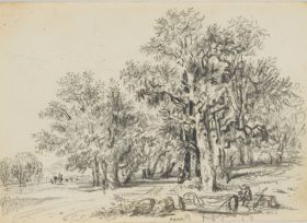 Ebene Landschaft mit Eichenhain