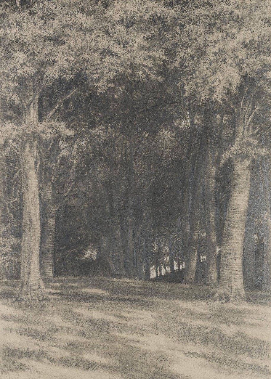 Waldige Landschaft