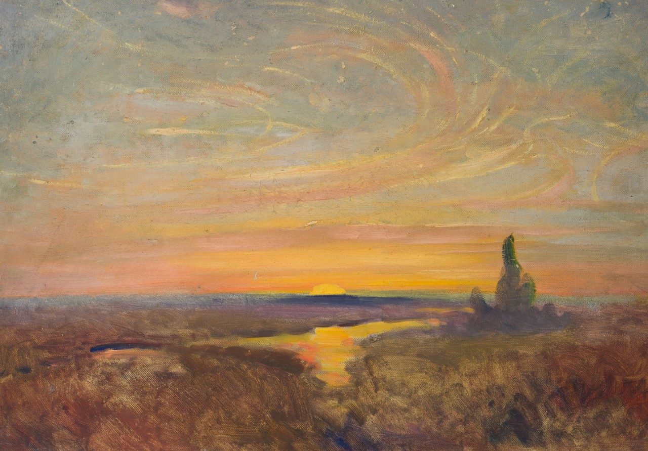 Niederdeutsche Heide im Sonnenuntergang