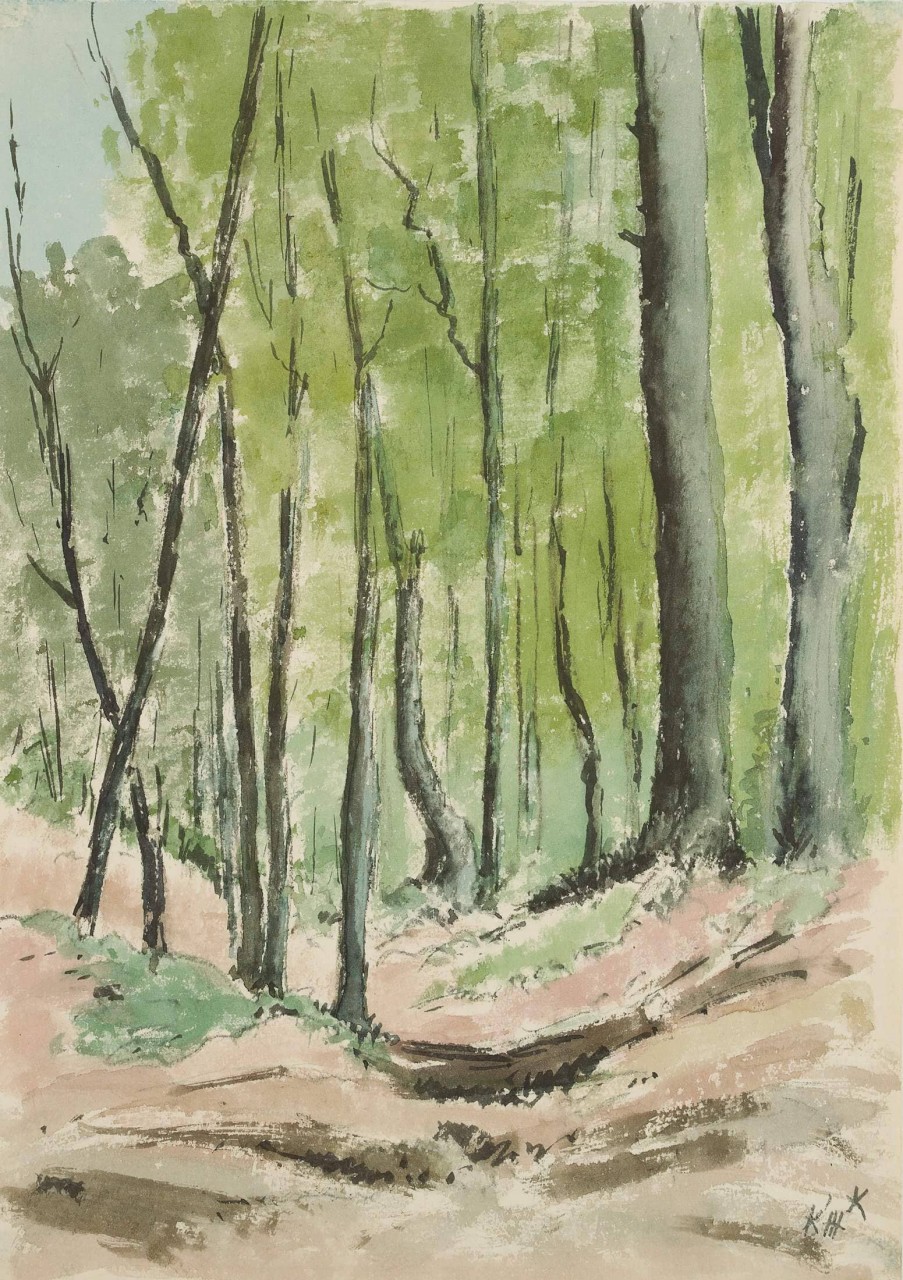Waldweg