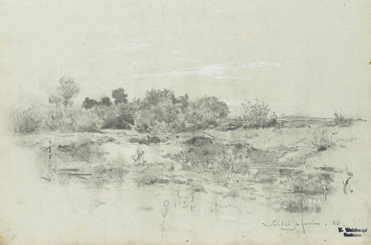 Wildnis bei Schleißheim