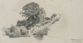 Baumstudie am Dachauer Moos bei Haimhausen