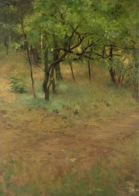 Waldlichtung im Sommer