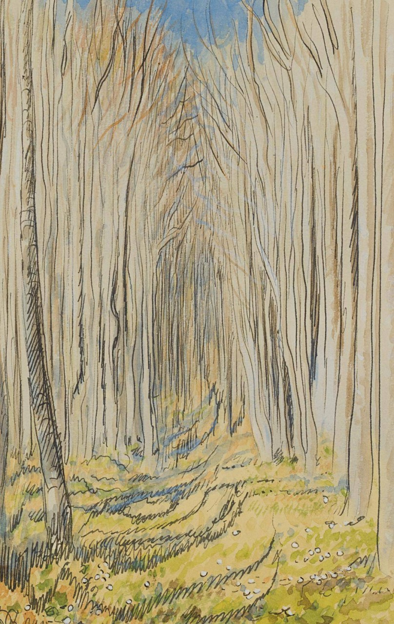 Baumallee