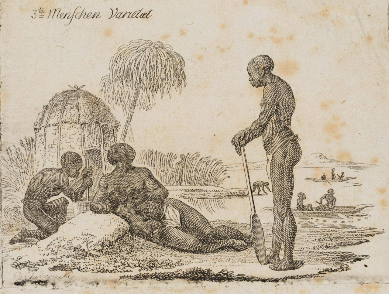 Die Aethiopische Menschen-Varietät